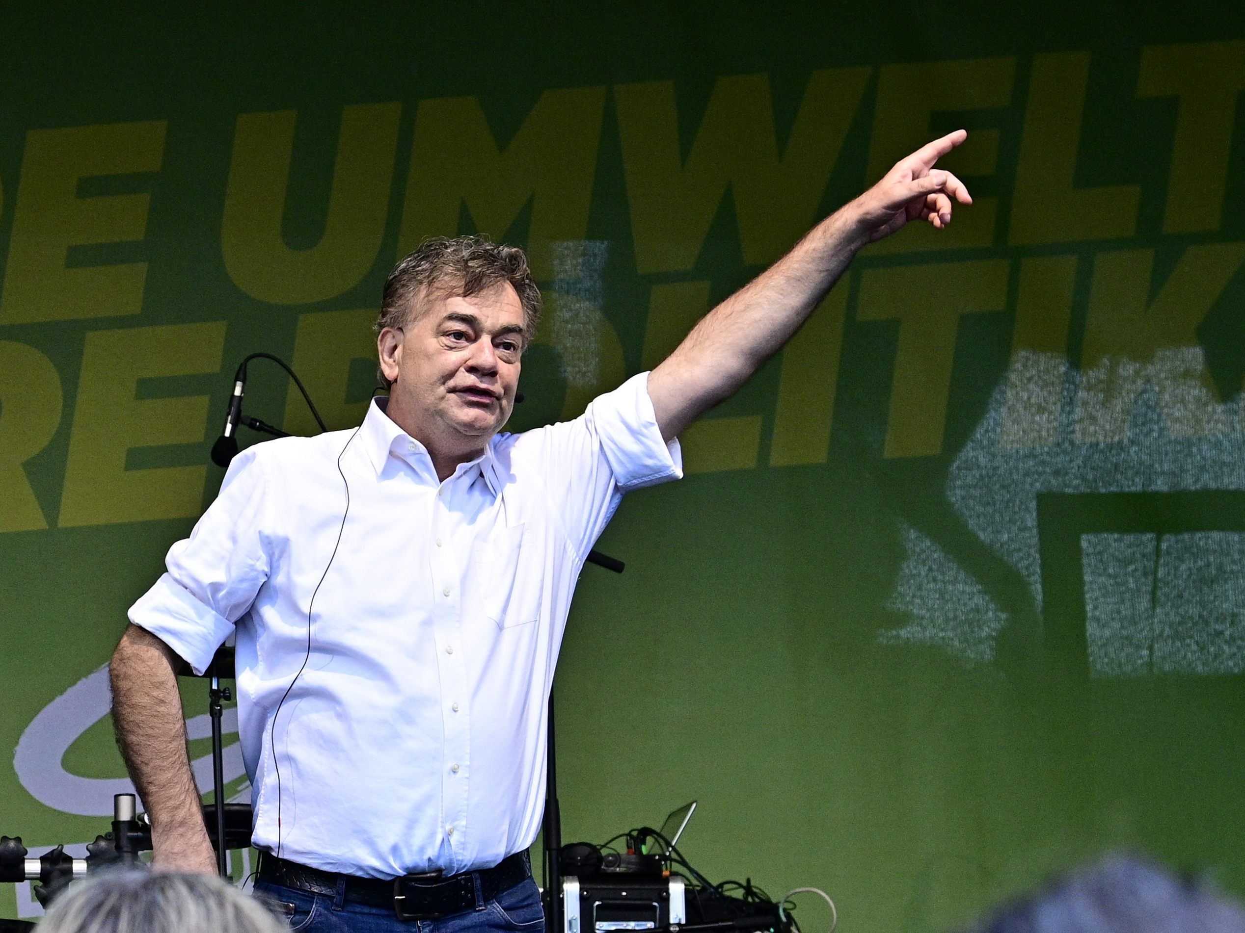 Die Grünen Arbeiten an ihrem Comeback.