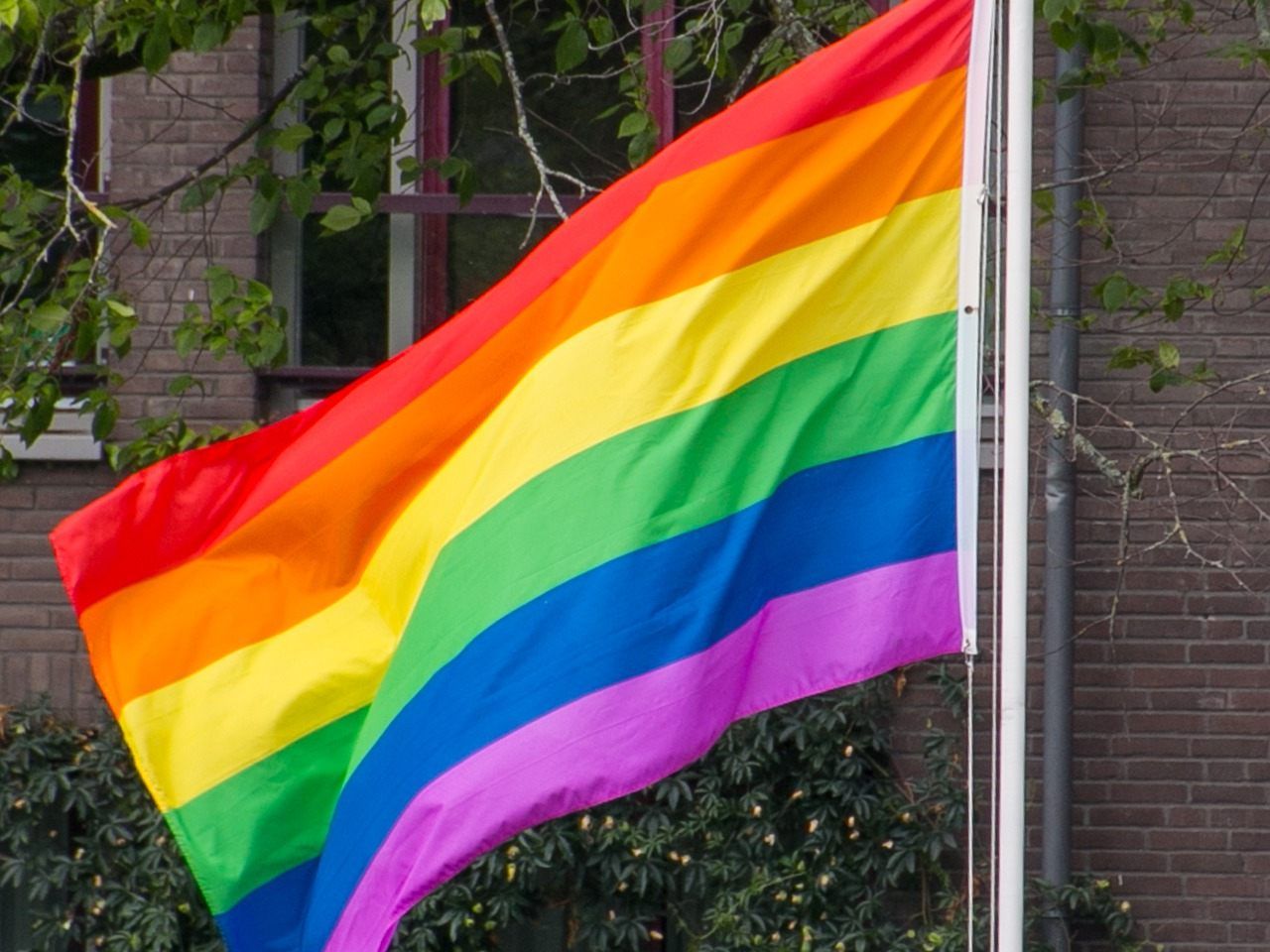 Der Queer-Dance hat bei seinen letzten Ausgaben viele Fans dazugewonnen. Der Queer-Dance hat bei seinen letzten Ausgaben viele Fans dazugewonnen.