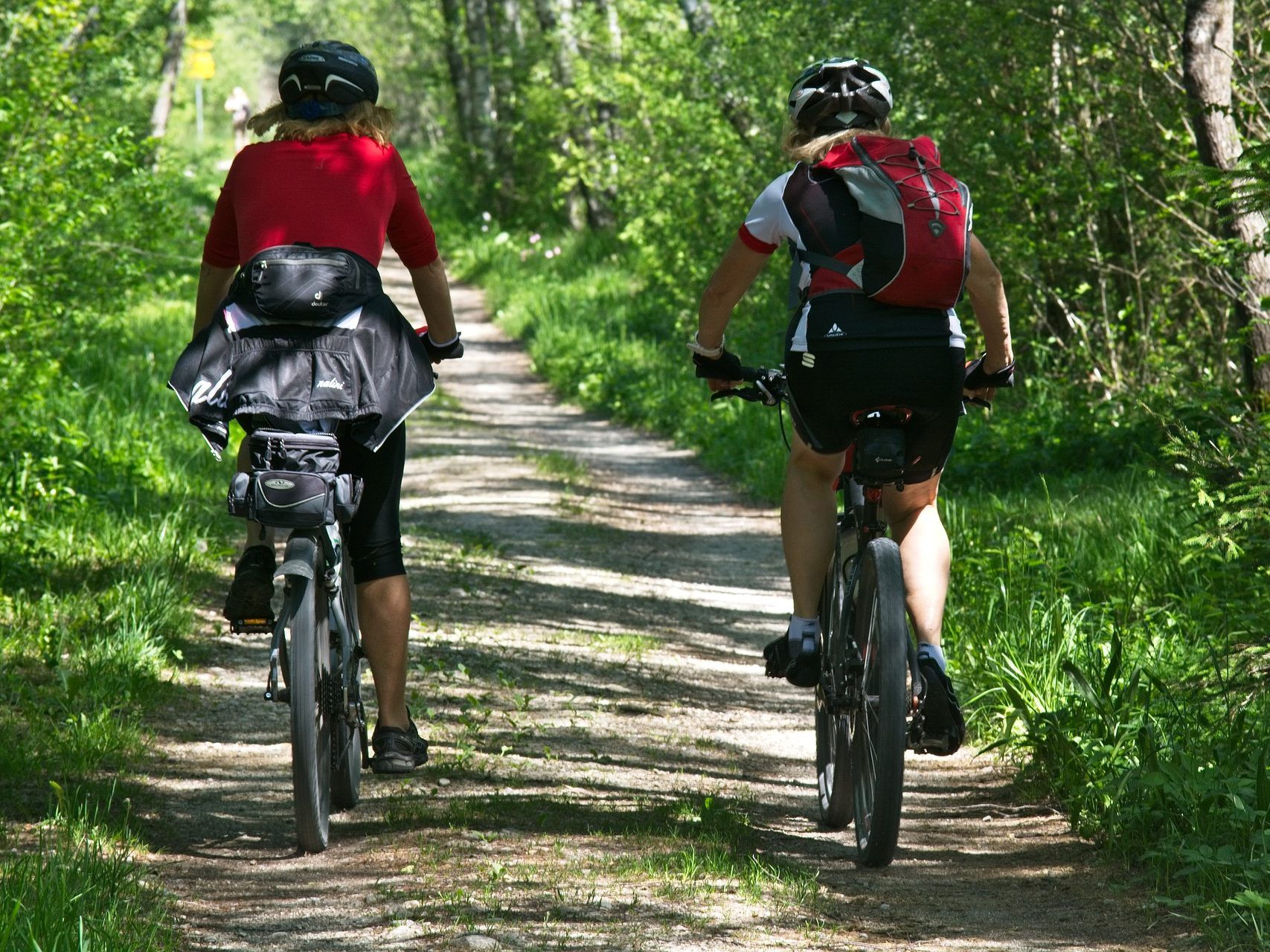 1.250 Kilometer Strecke kann man im Wienerwald mit dem Mountainbike zurücklegen. 1.250 Kilometer Strecke kann man im Wienerwald mit dem Mountainbike zurücklegen.