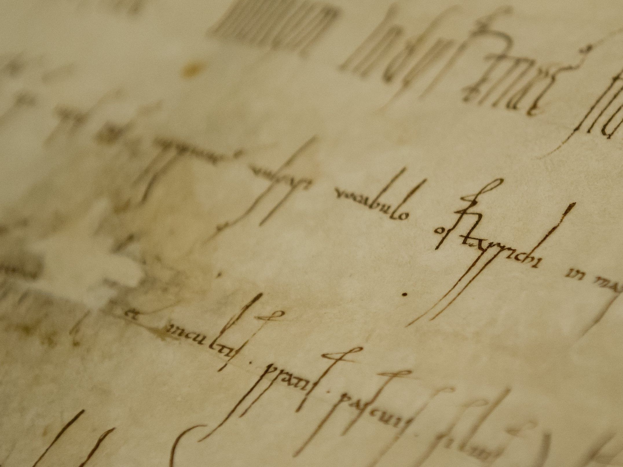 Das Dokument gilt als "Geburtsurkunde Österreichs.