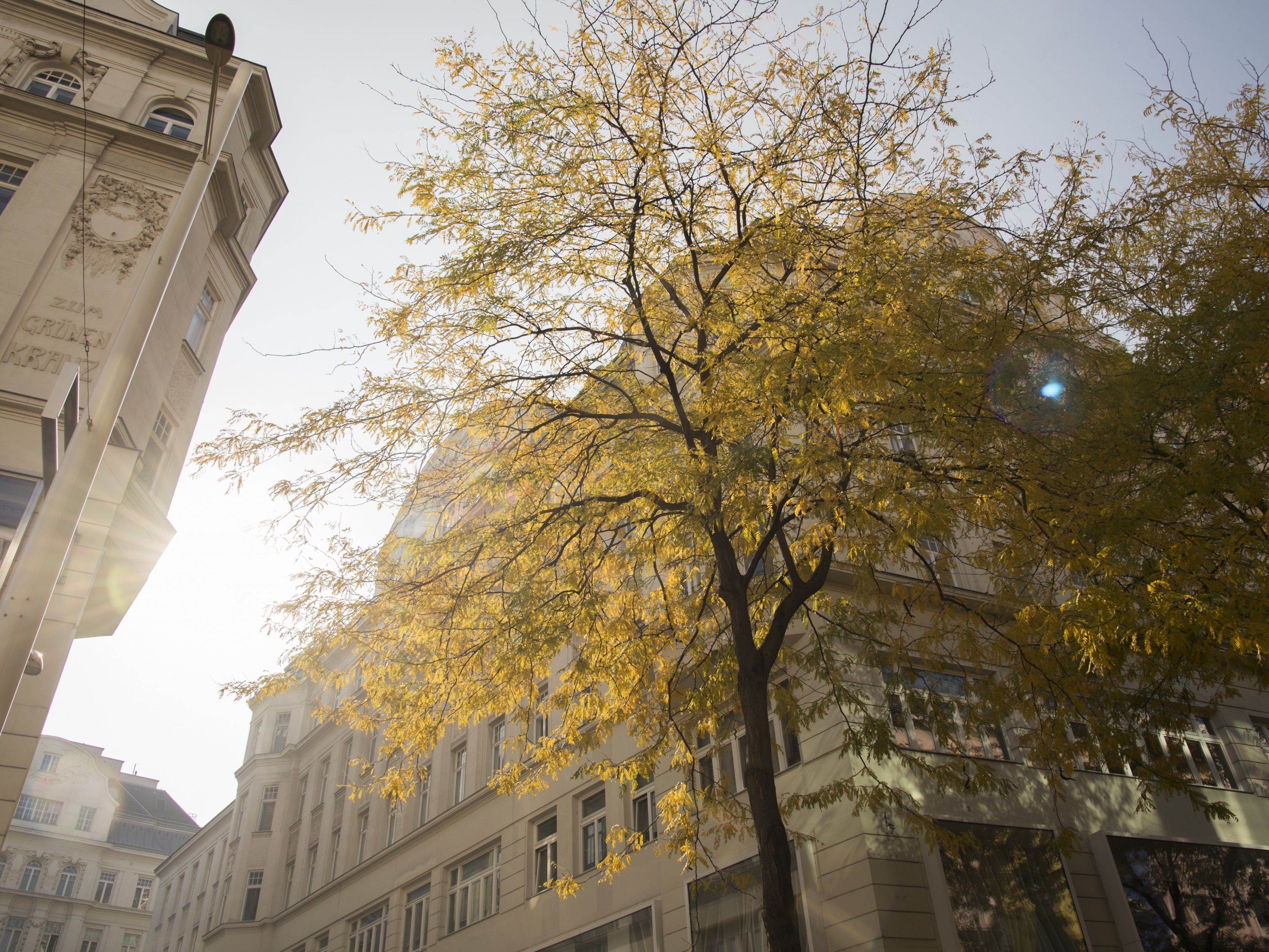 Der Wahl-Sonntag bringt sonniges und mildes Wetter mit sich.