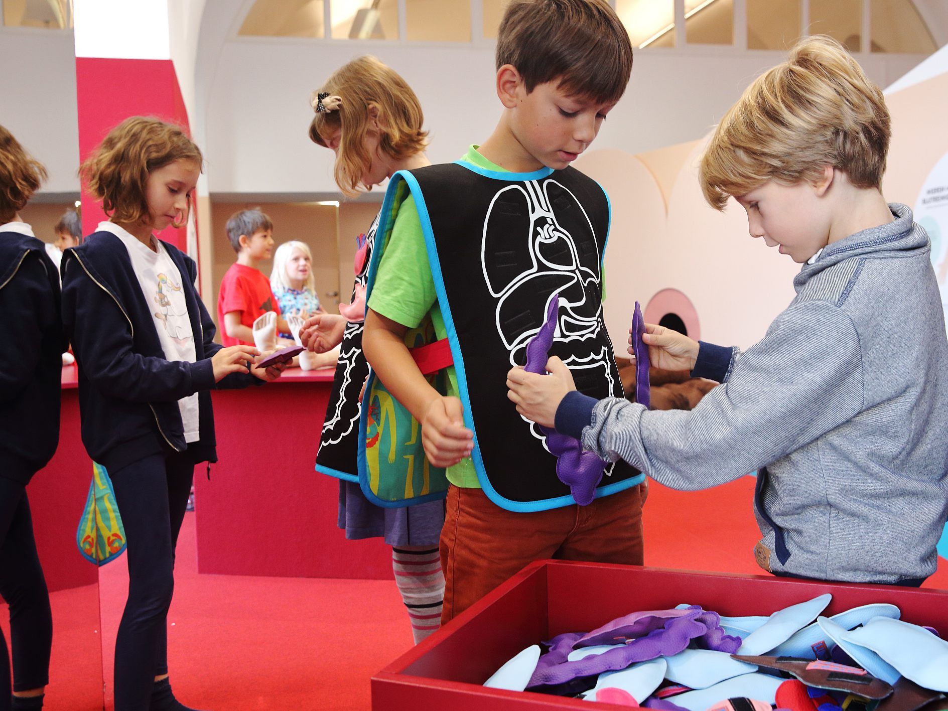 In der neuen Ausstellung von "ZOOM" lernen Kinder (fast) alles über ihren Körper.