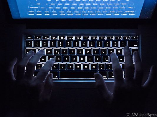 337 Nutzer der Plattform wurden festgenommen und angeklagt