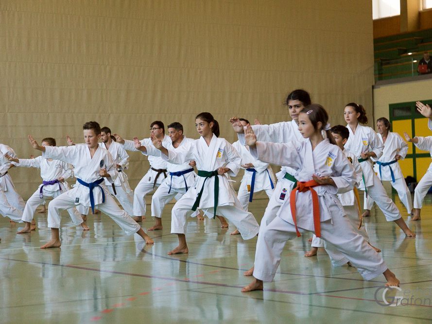 KARATE HOFSTEIG