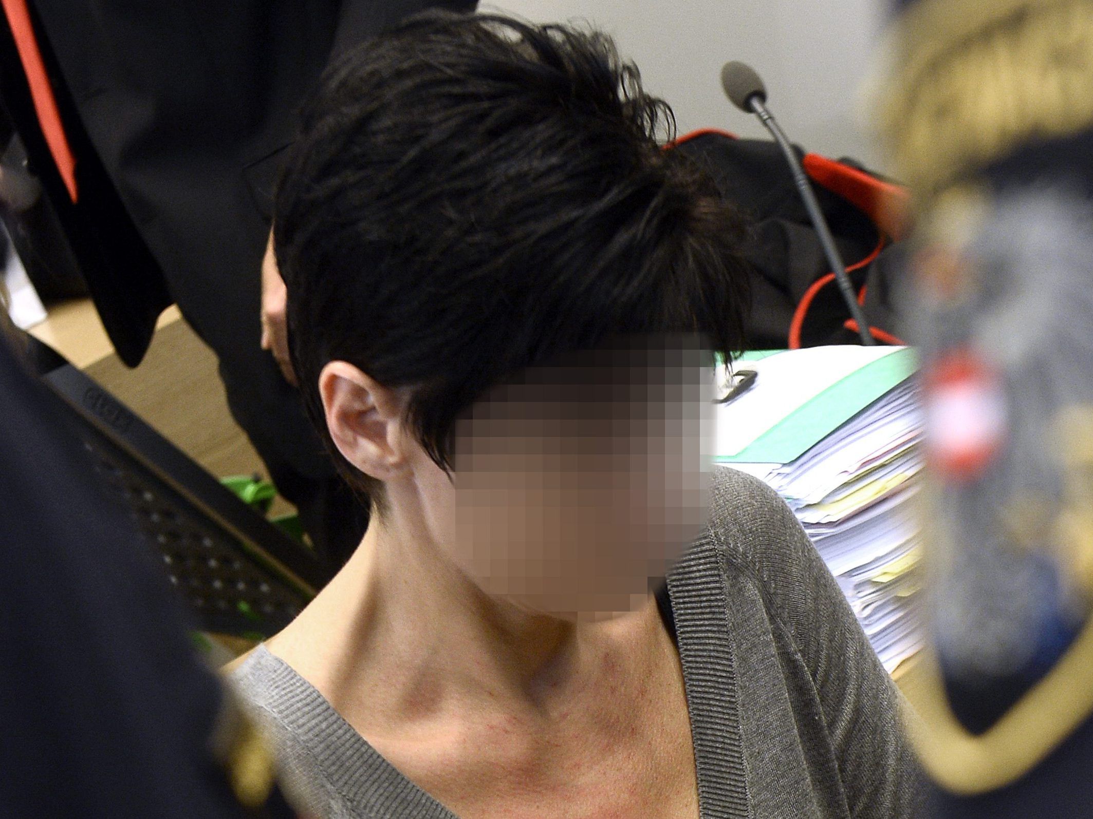 Am Donnerstag wurde der Mordprozess am Landesgericht Korneuburg fortgesetzt.