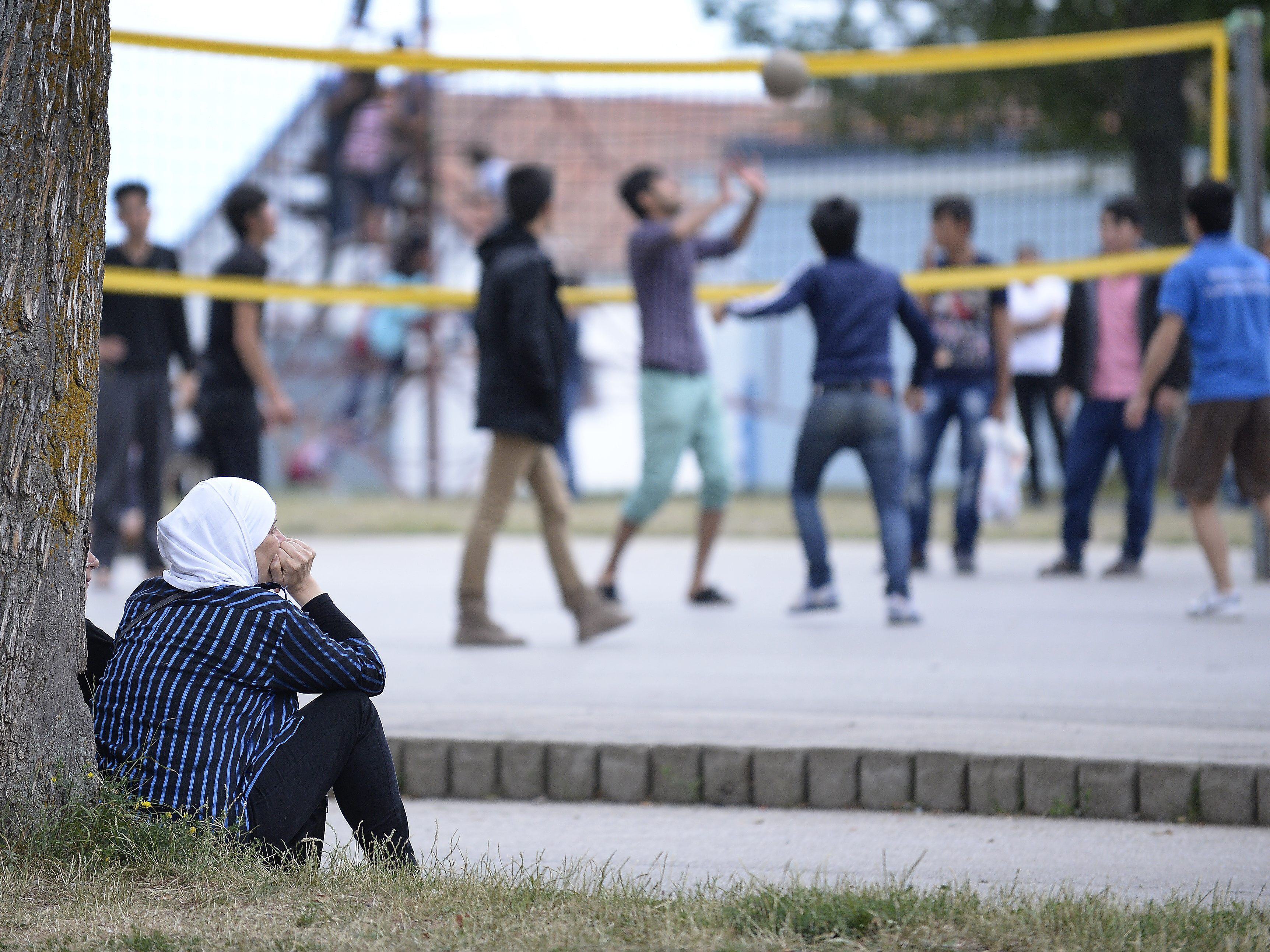 Die besten Chancen auf Asyl haben Syrer.