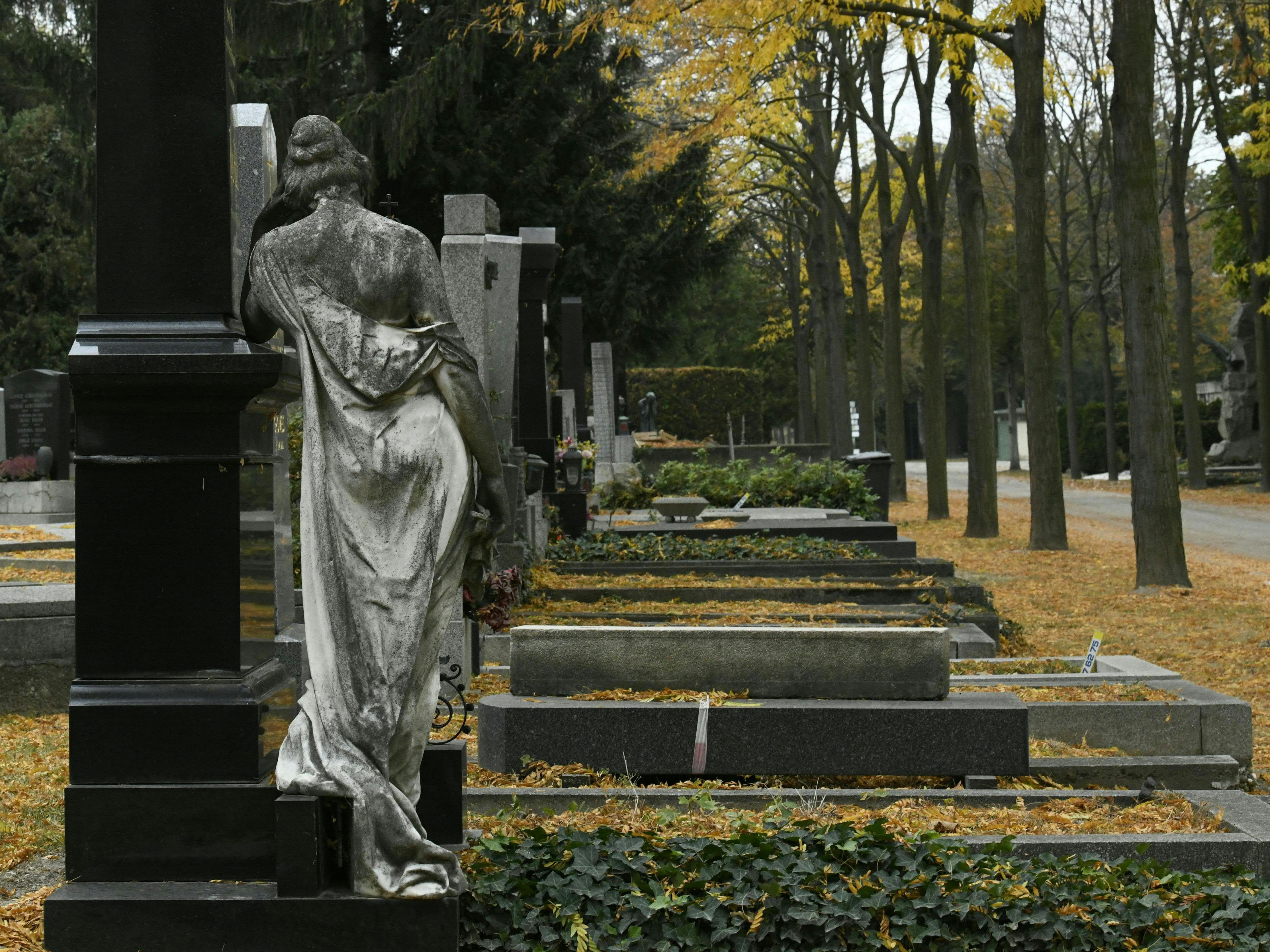 Am Zentralfriedhof in Wien-Simmering kam es zu der Messerattacke. Am Zentralfriedhof in Wien-Simmering kam es zu der Messerattacke.