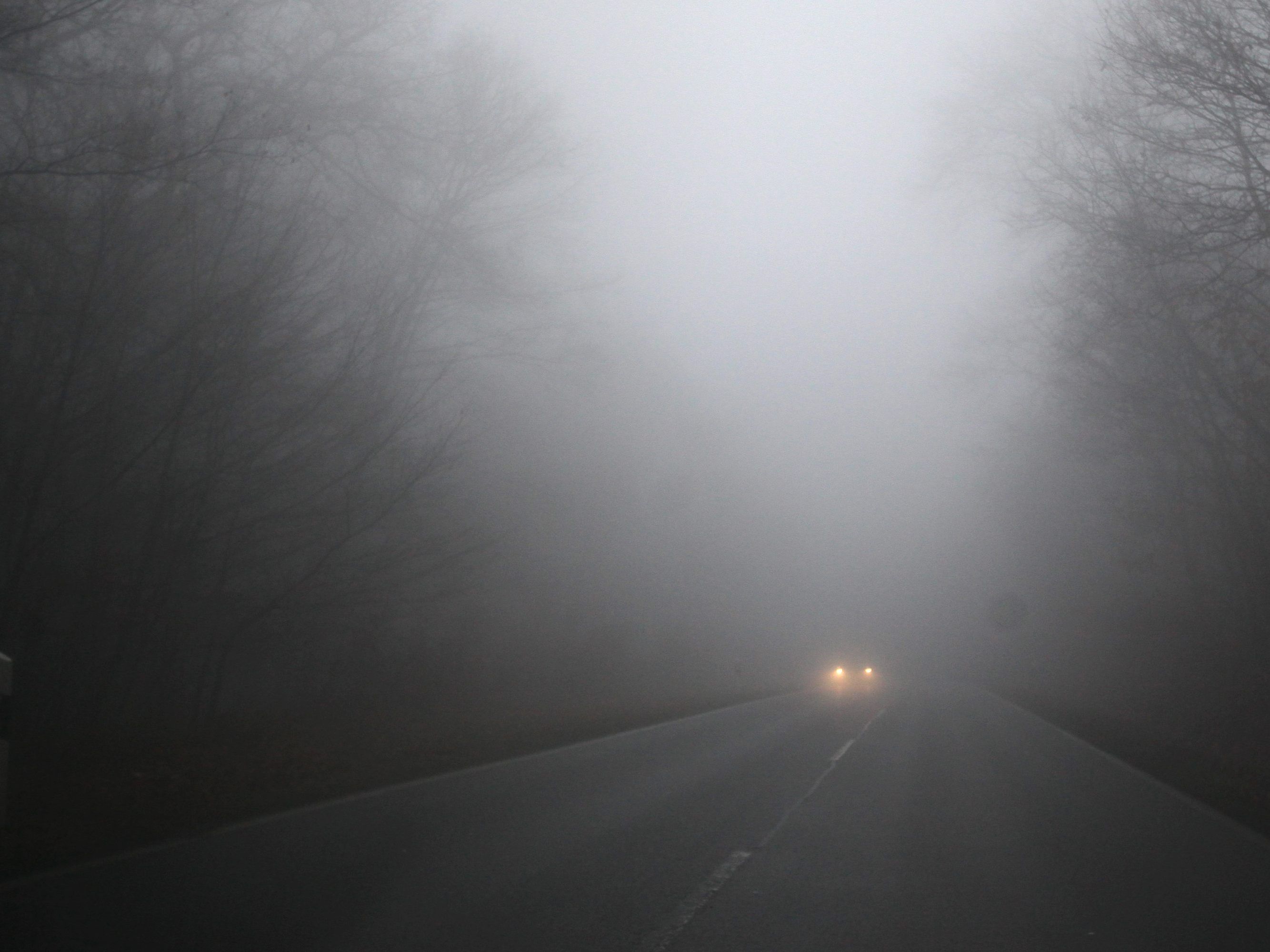 Nebel auf der Straße