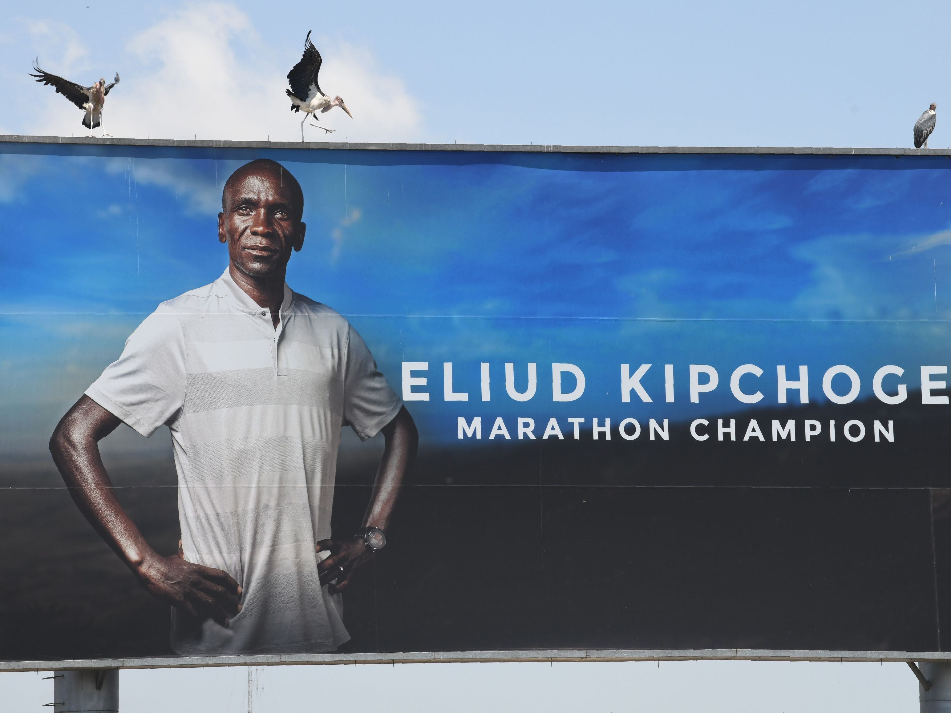 Der Läufer Eluid Kipchoge startet am Samstag in Wien seinen Weltrekordversuch. Der Läufer Eluid Kipchoge startet am Samstag in Wien seinen Weltrekordversuch.