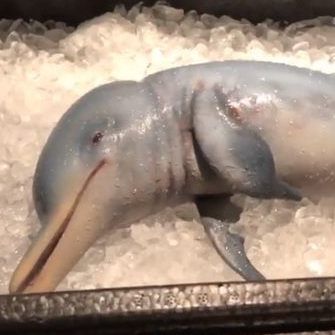 "Inscope21" postete die Bilder und Videos seiner Aktion auf Instagram.