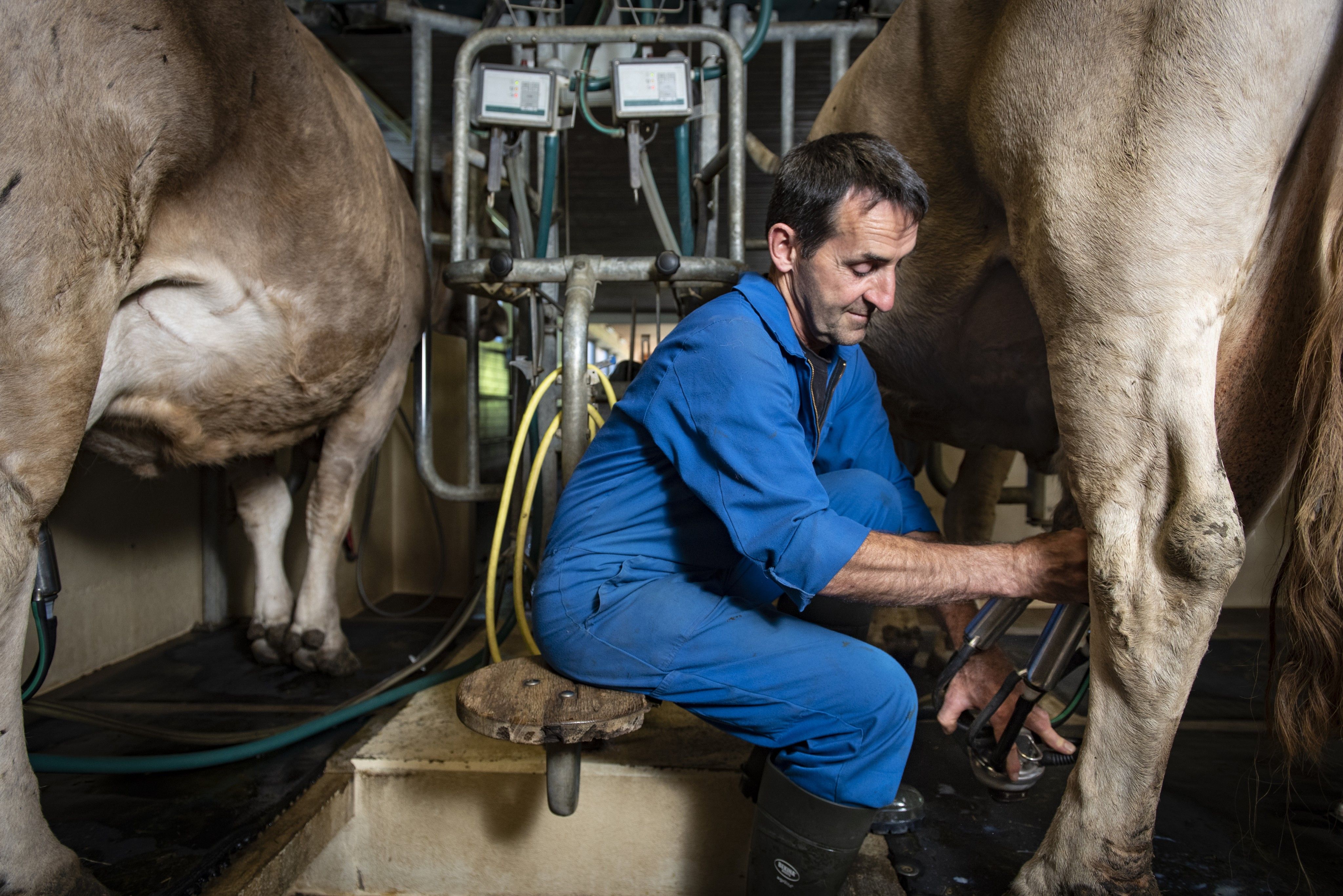 Lingenhel zeigt, wie moderne Landwirtschaft geht.