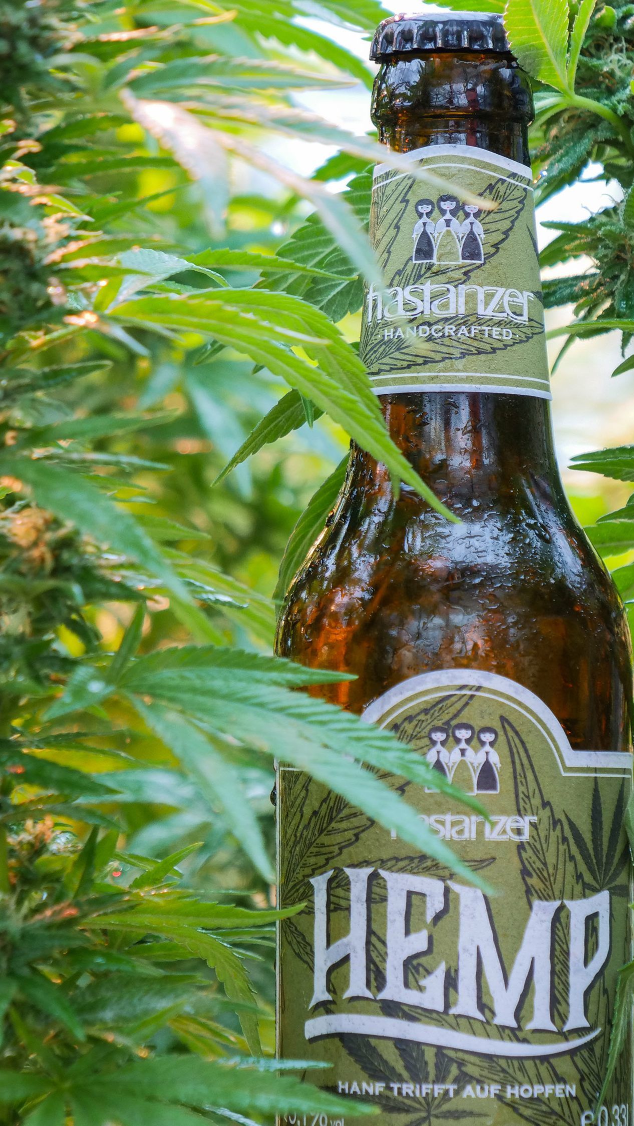 Eine Bierkreation aus Hopfen und Hanf