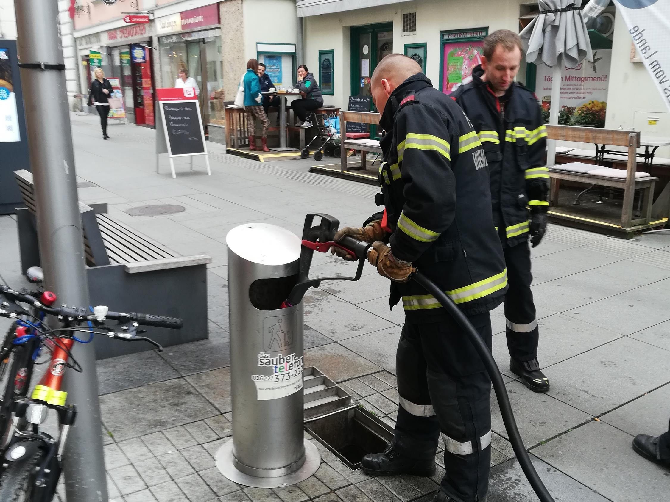 Die Feuerwehr Wiener Neustadt löschte den Brand ab.