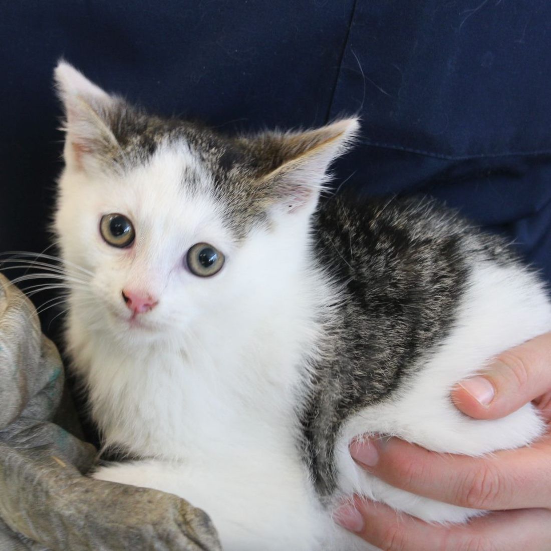 "Charlie und seine Engel" sind in Sicherheit.