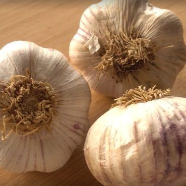 Was kann man gegen die Knoblauchfahne tun?