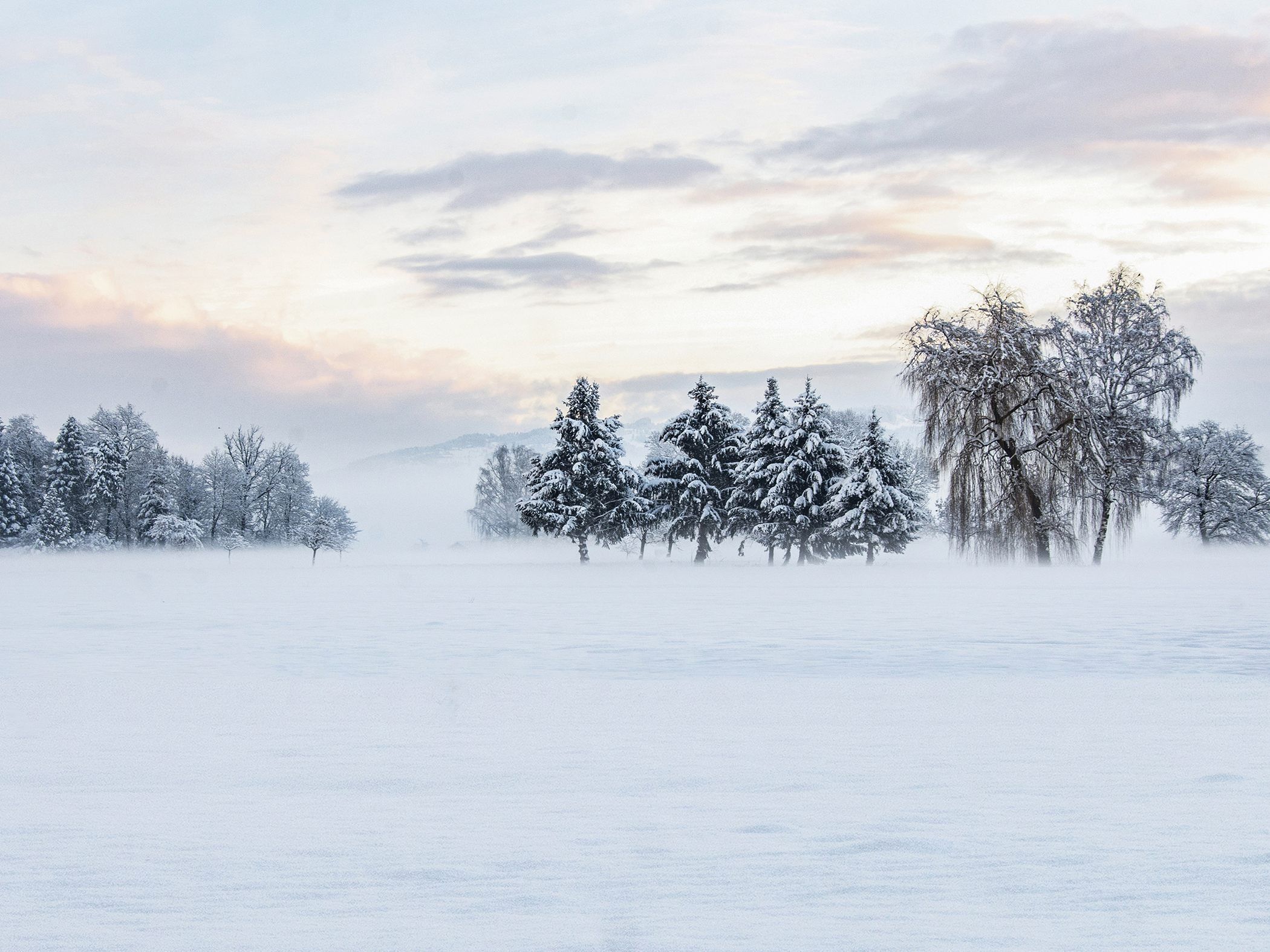 Winter Wunderland im Lustenauer Ried