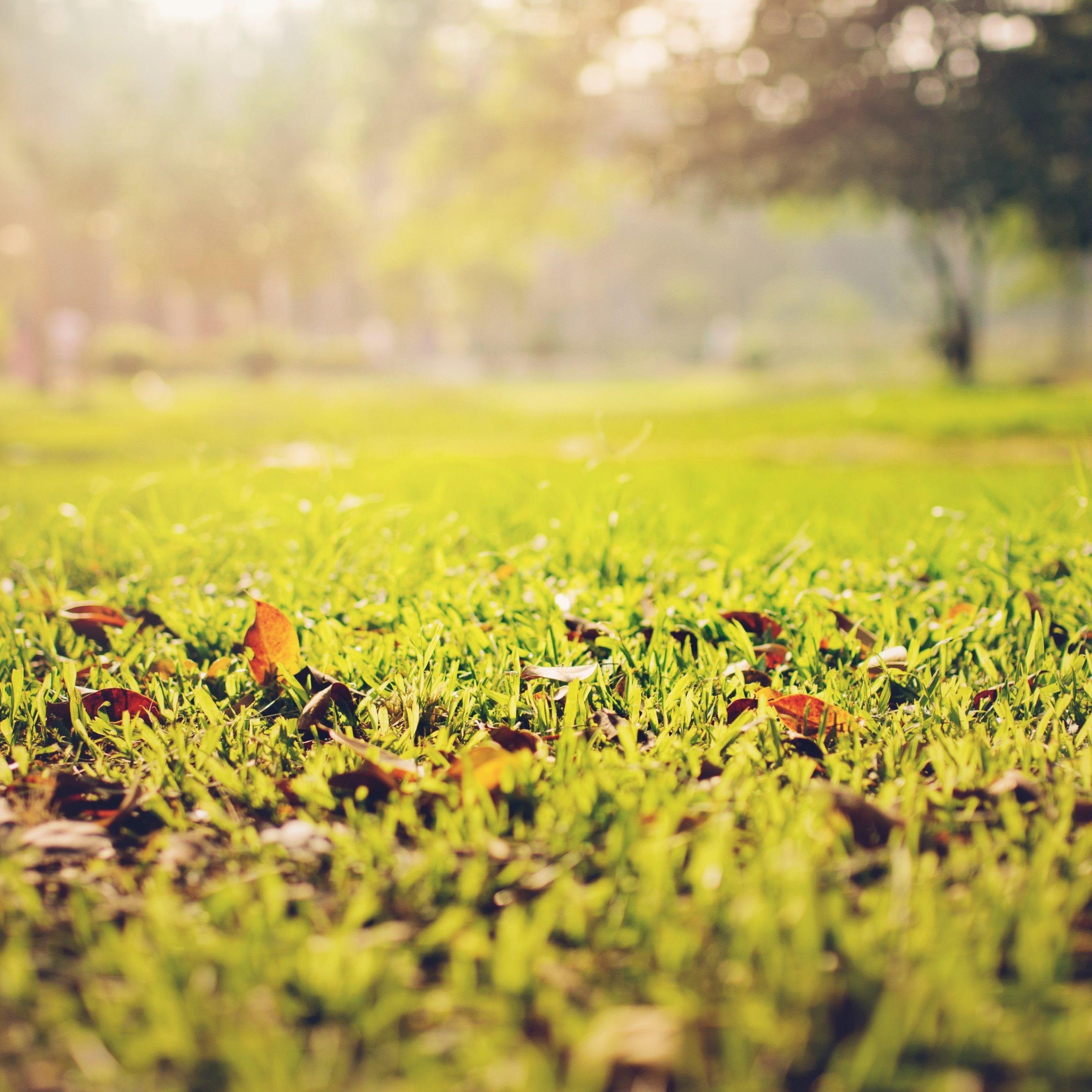 Der Umgang mit Grund und Boden braucht unabhängige Kompetenzen, fordert der Verein Bodenfreiheit.