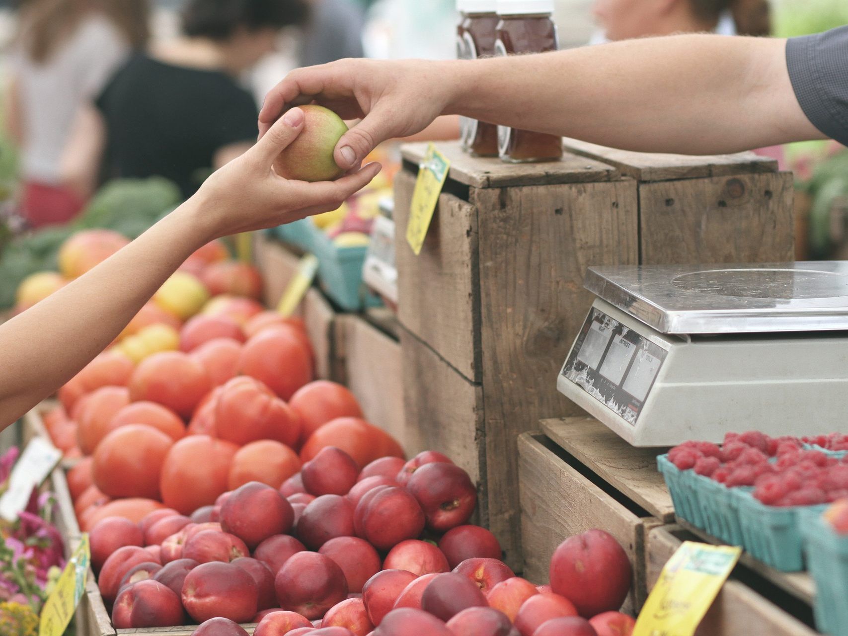 Das Marktfest 2019 findet am Bio-Bauernmarkt auf der Wiener Freyung statt. Das Marktfest 2019 findet am Bio-Bauernmarkt auf der Wiener Freyung statt.