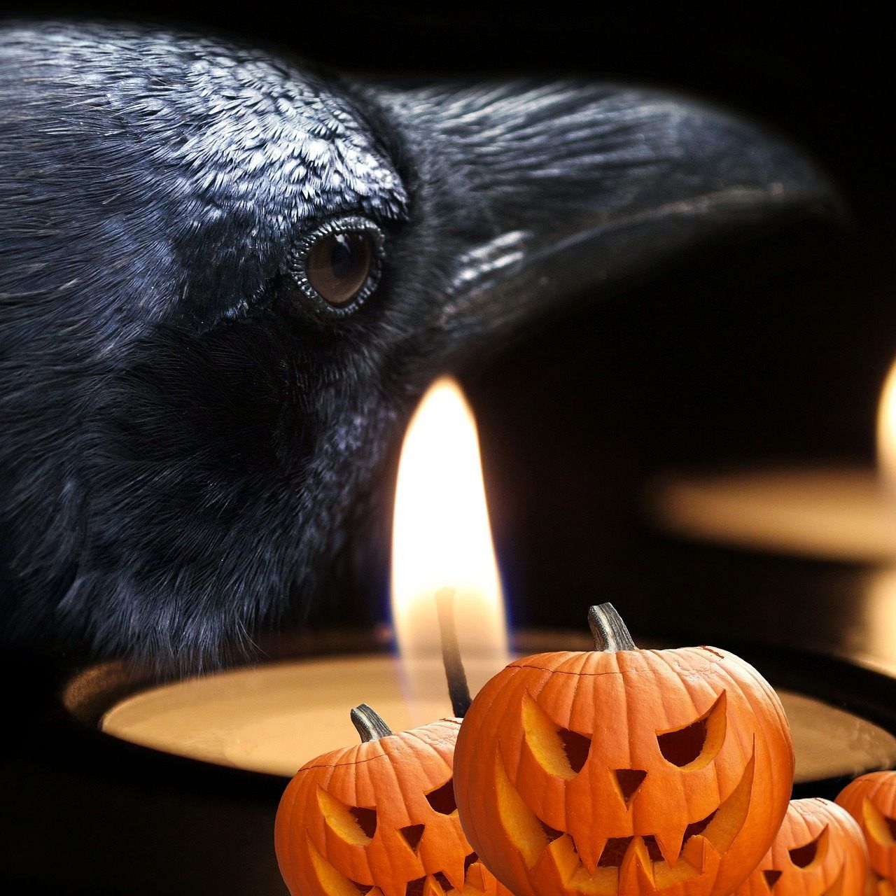 Das Brauchtum rund um Halloween basiert auf schaurigen Legenden