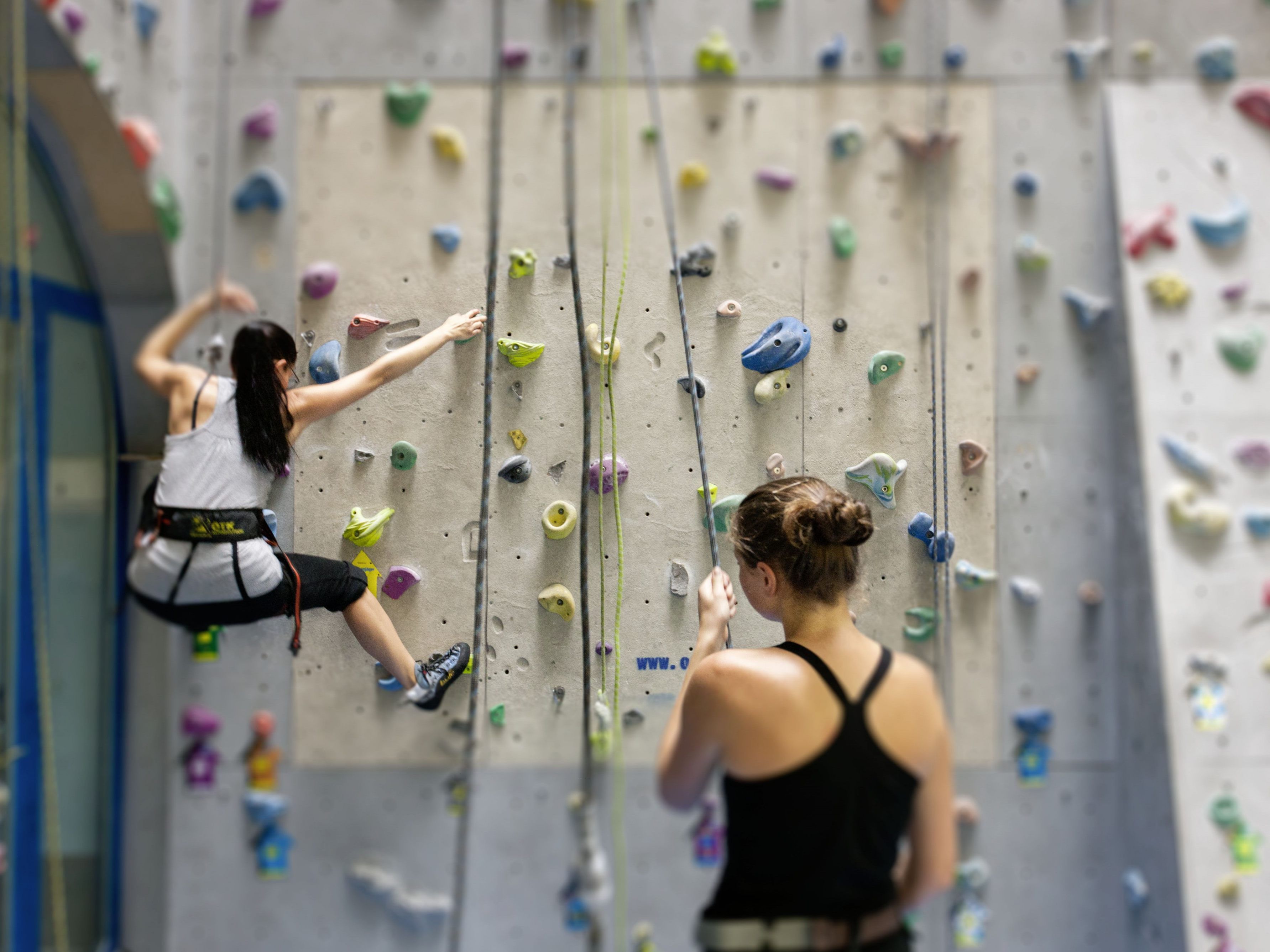 Wiens größte Indoor-Kletteranlage lädt am 5. Oktober zum Schnupperklettern