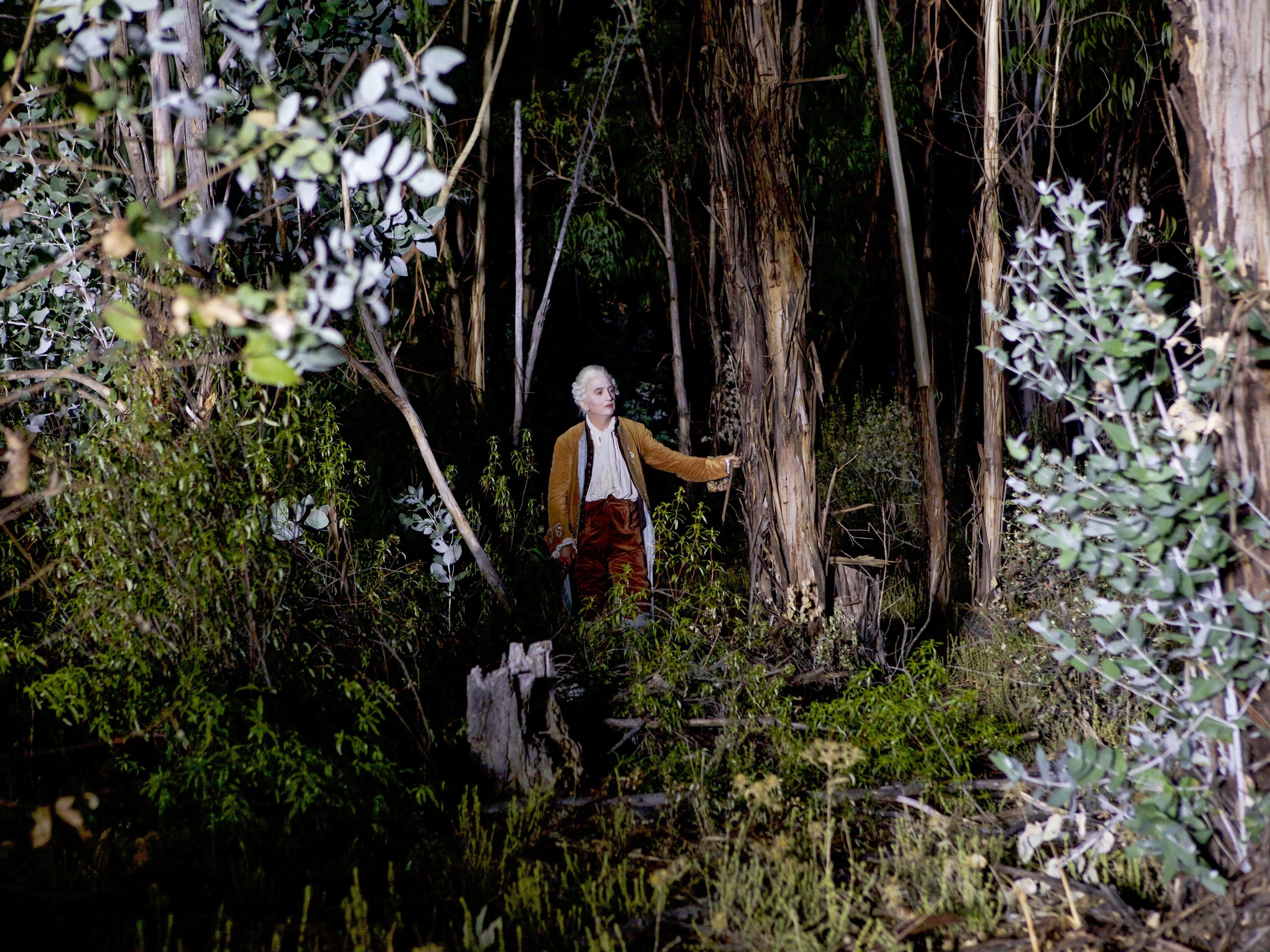 Ausnahmsweise angezogen ist dieser Herr im Wald.