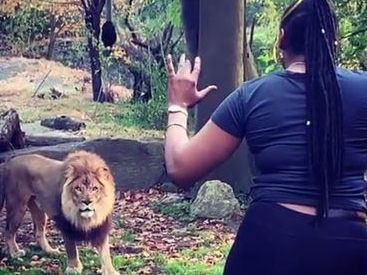 Ist diese Frau mutig oder einfach lebensmüde? Ist diese Frau mutig oder einfach lebensmüde?