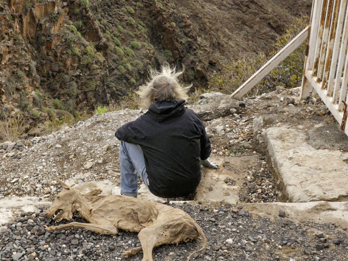 Ralfs Farben gibt Einblicke in einen schizophrenen Kopf.