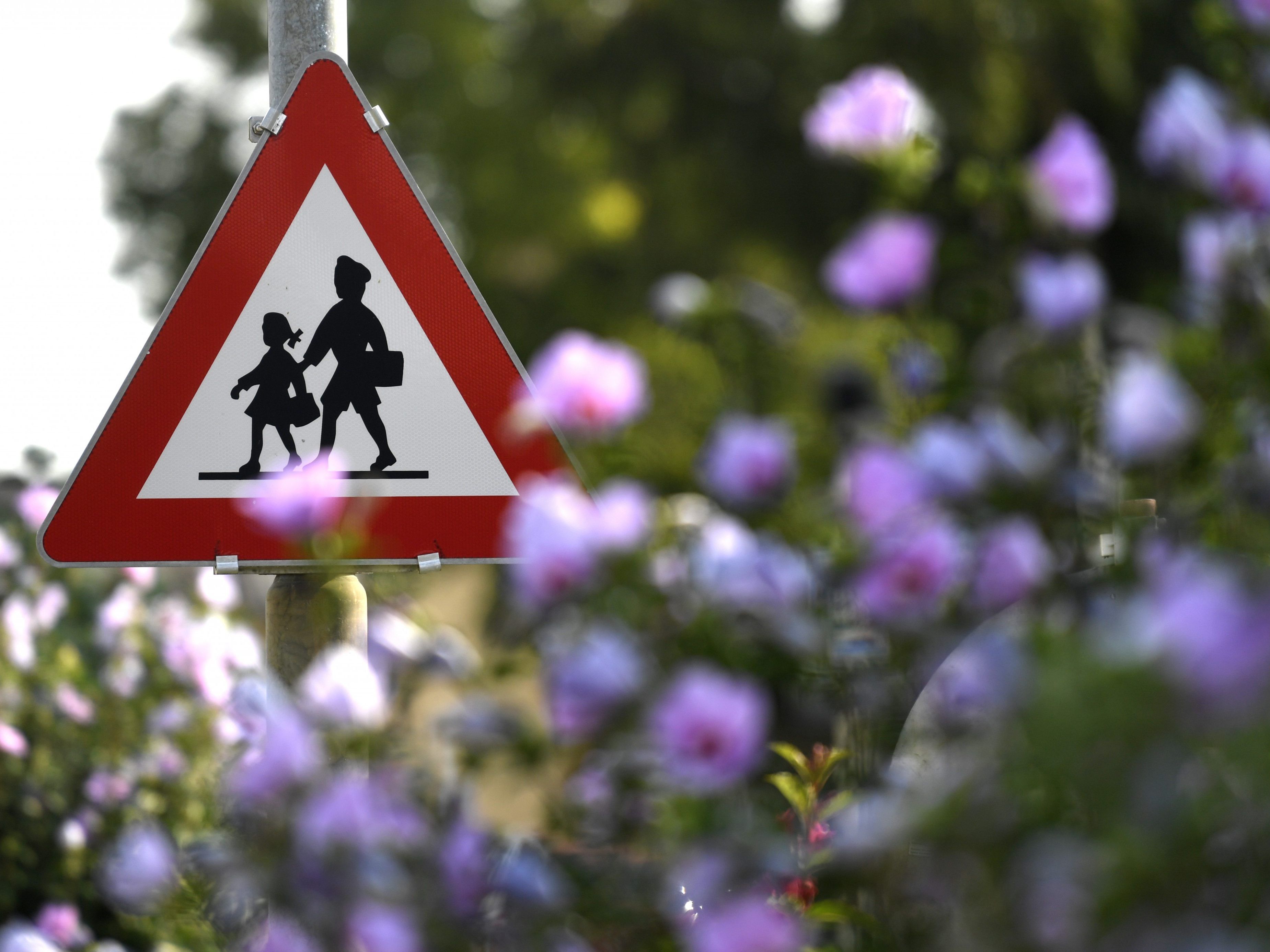 Die Analyse zeigt, dass bei gleicher Leseleistung, Volksschulkinder dennoch häufiger in die AHS übertreten.