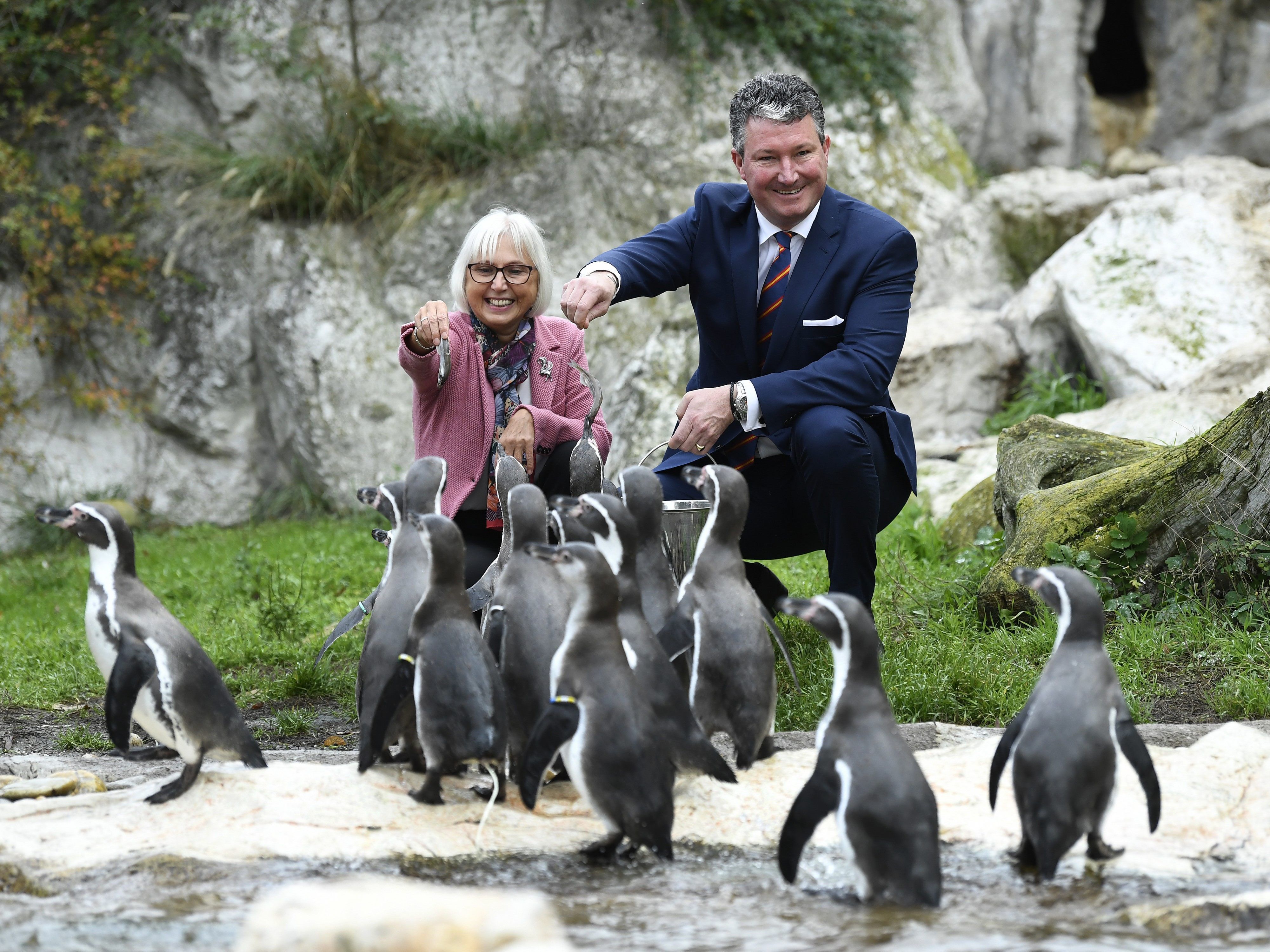 Stephan Hering-Hagenbeck tritt in die Fußstapfen von Dagmar Schratter.