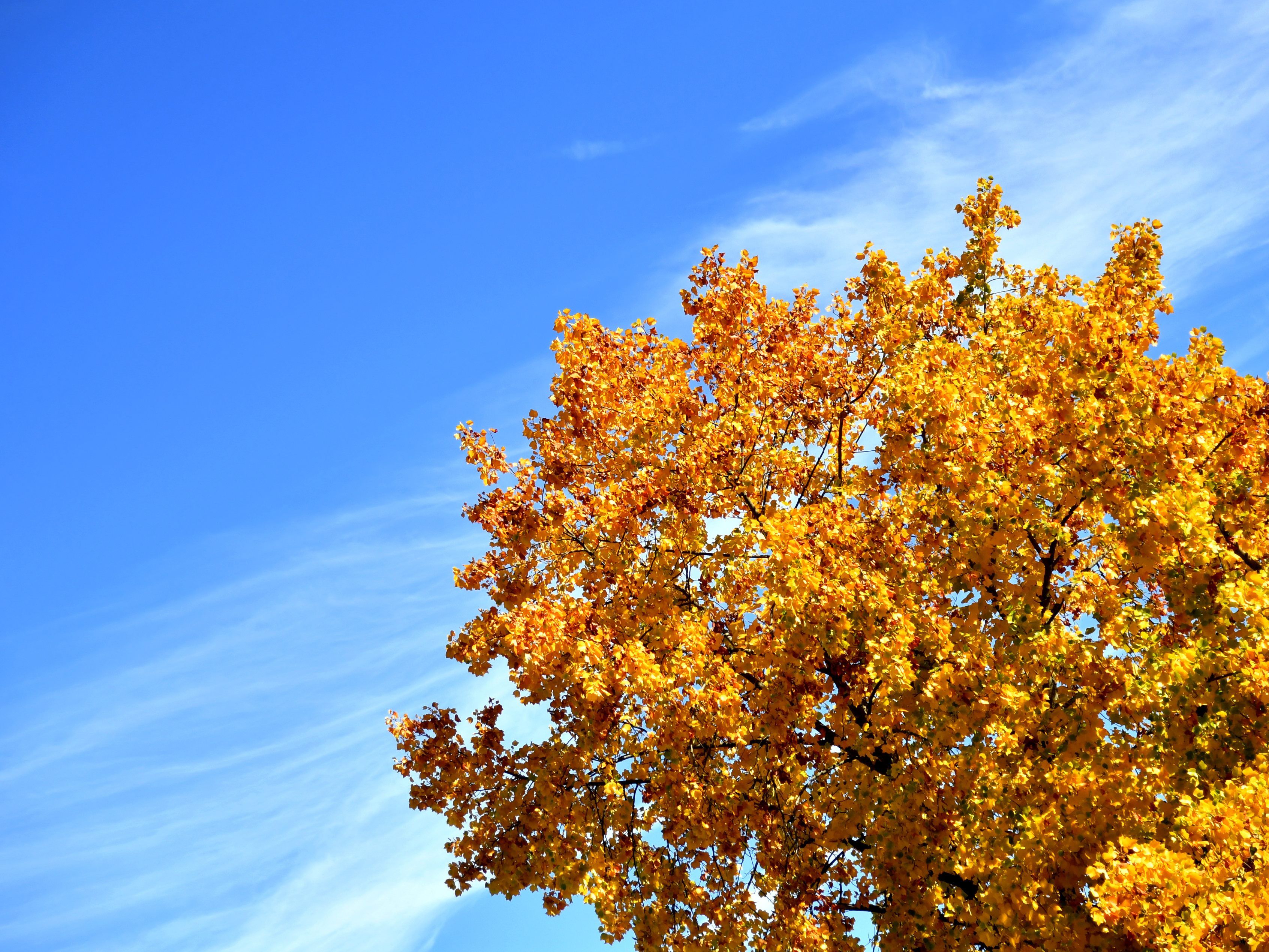Die Höchsttemperaturen liegen derzeit um rund zehn bis 15 Grad über den für die Jahreszeit typischen Werten.