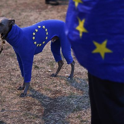 Die Zeiten des schnellen Wachstums sind vorerst vorbei