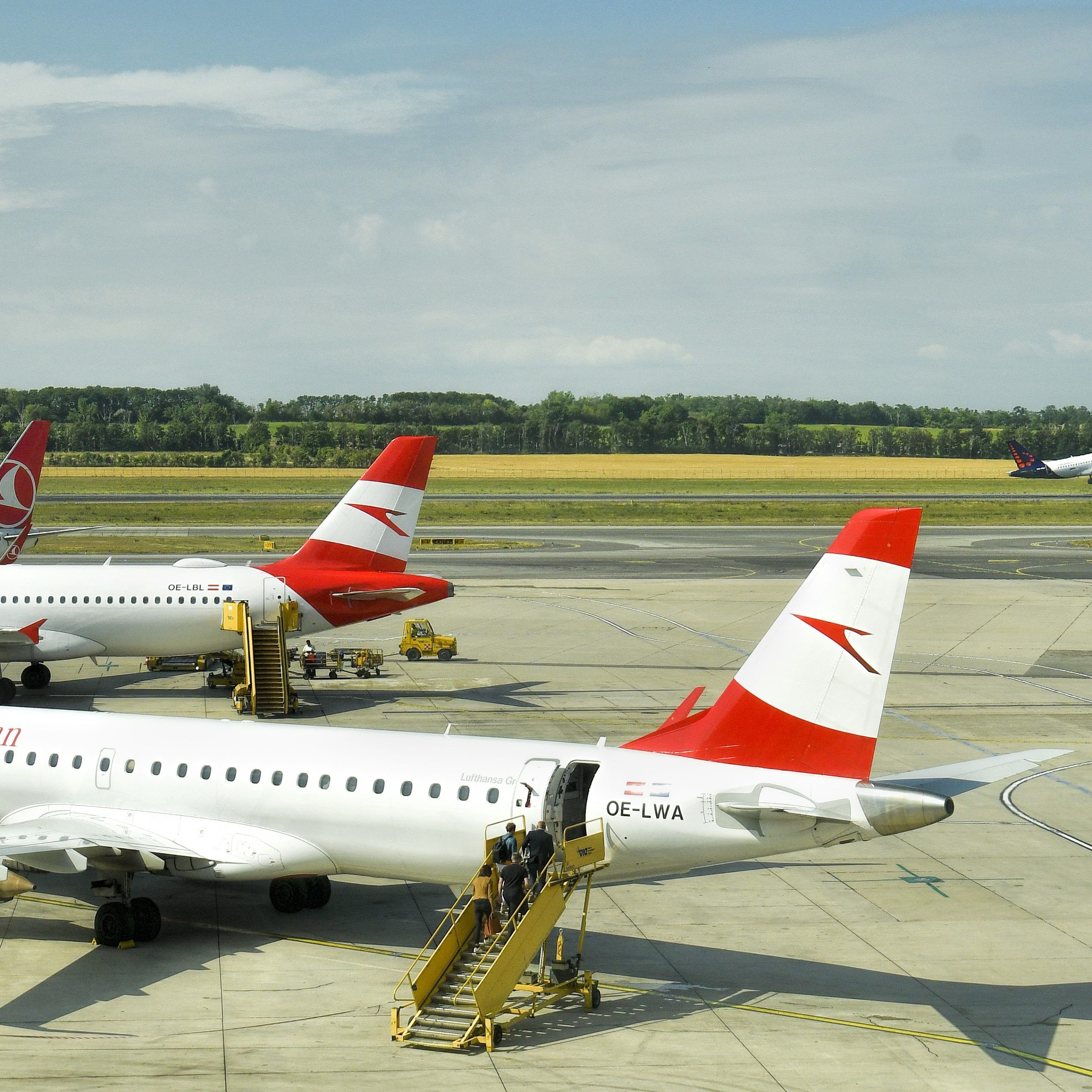 Die AUA muss 100 Millionen Euro einsparen.