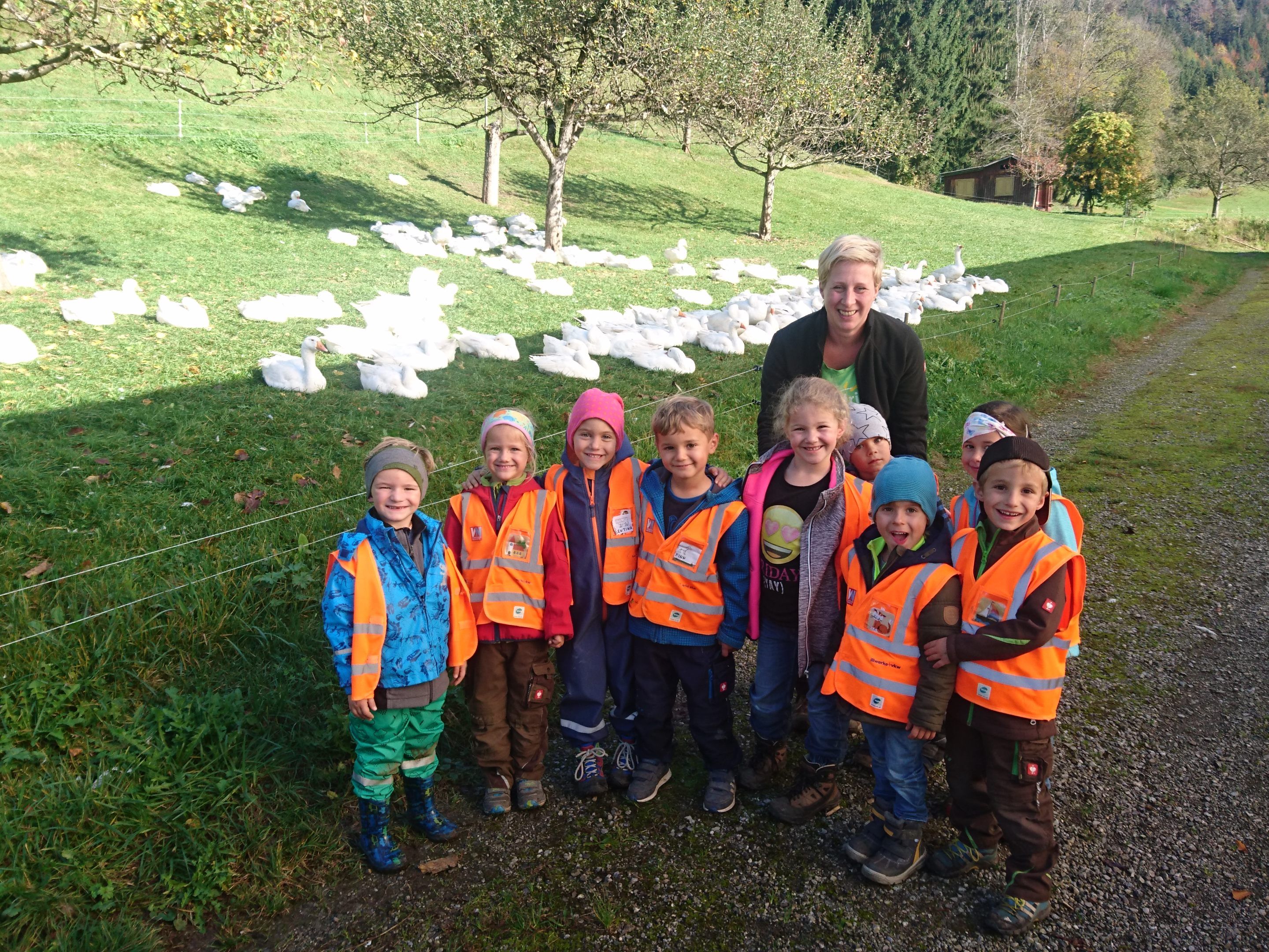 Die Kinder konnten beim Sunnahof in Göfis echte Gänse bestaunen. Die Kinder konnten beim Sunnahof in Göfis echte Gänse bestaunen.