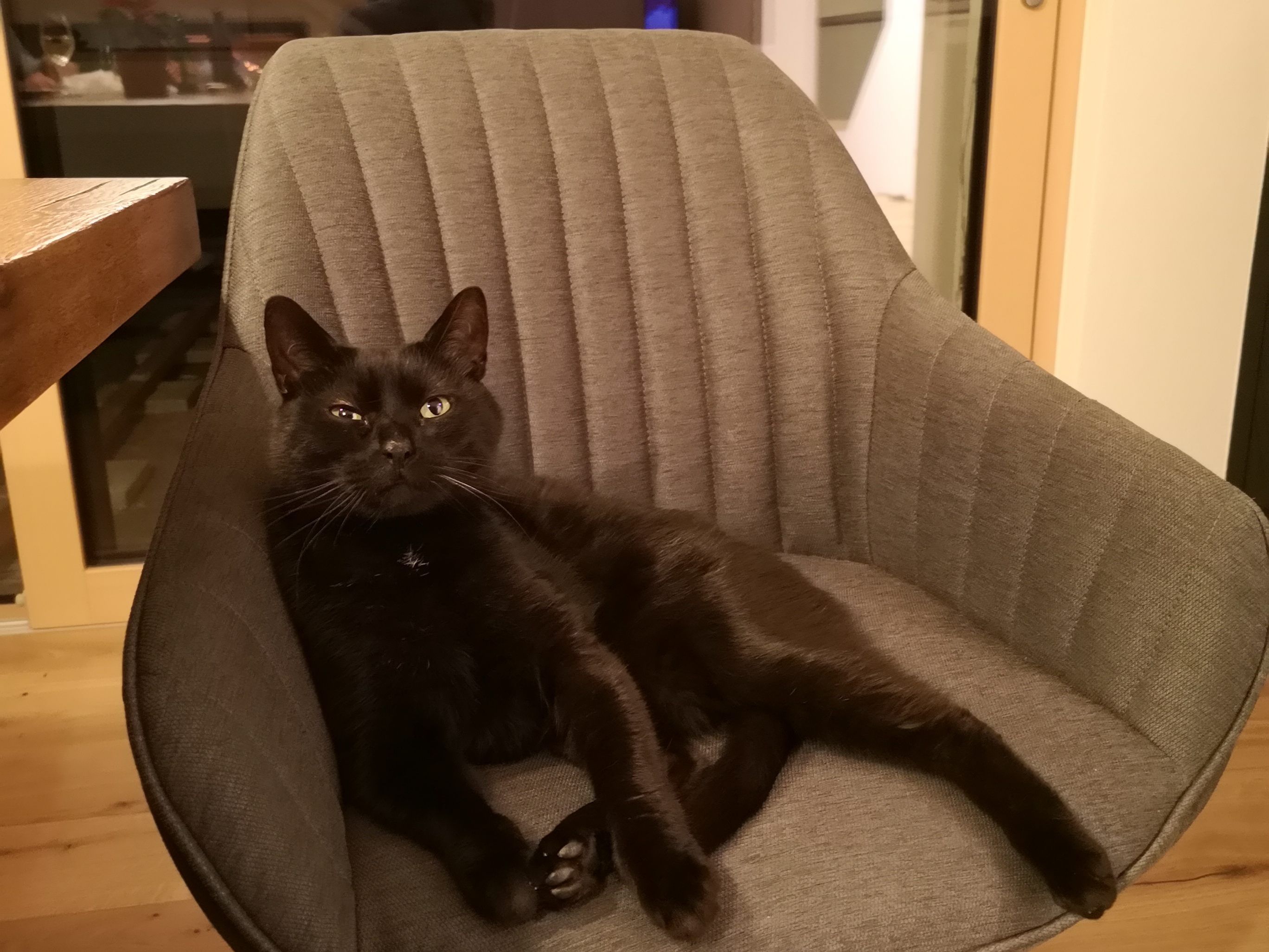 unser Rocky