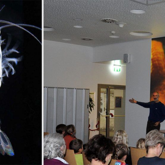 Mikro-Meer Showmaster Dr. Daniel Abed-Navandi (r.) präsentiert die von ihm entdeckte Garnelenart (l.)