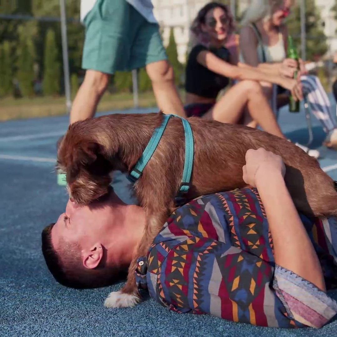 Symbolbild: Mann stirbt, nachdem sein Hund ihm über das Gesicht geschleckt hatte.