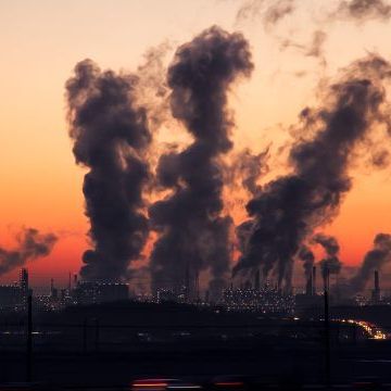 Klimaplan für Österreich - Für NGOs "Bankrotterklärung"