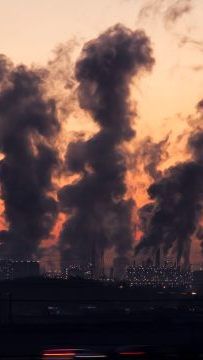 Klimaplan für Österreich - Für NGOs "Bankrotterklärung"