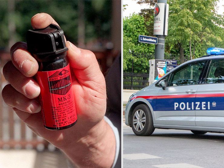 Mit einem Pfefferspray gelang es, einen Randalierer zu "bändigen" - dennoch wurde ein Polizist verletzt