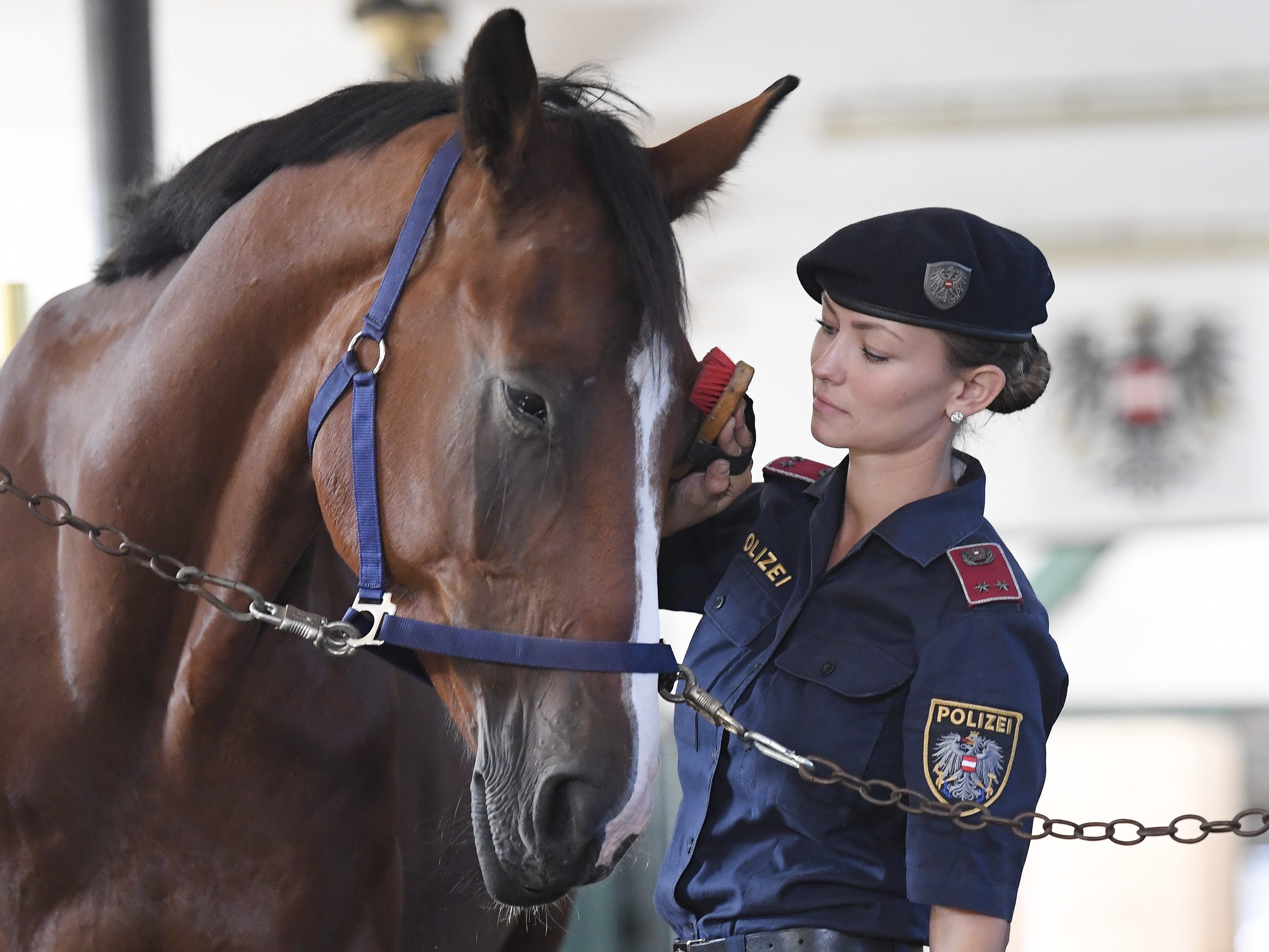 Die Polizeistaffel wird laut Innenministerium aufgelöst.