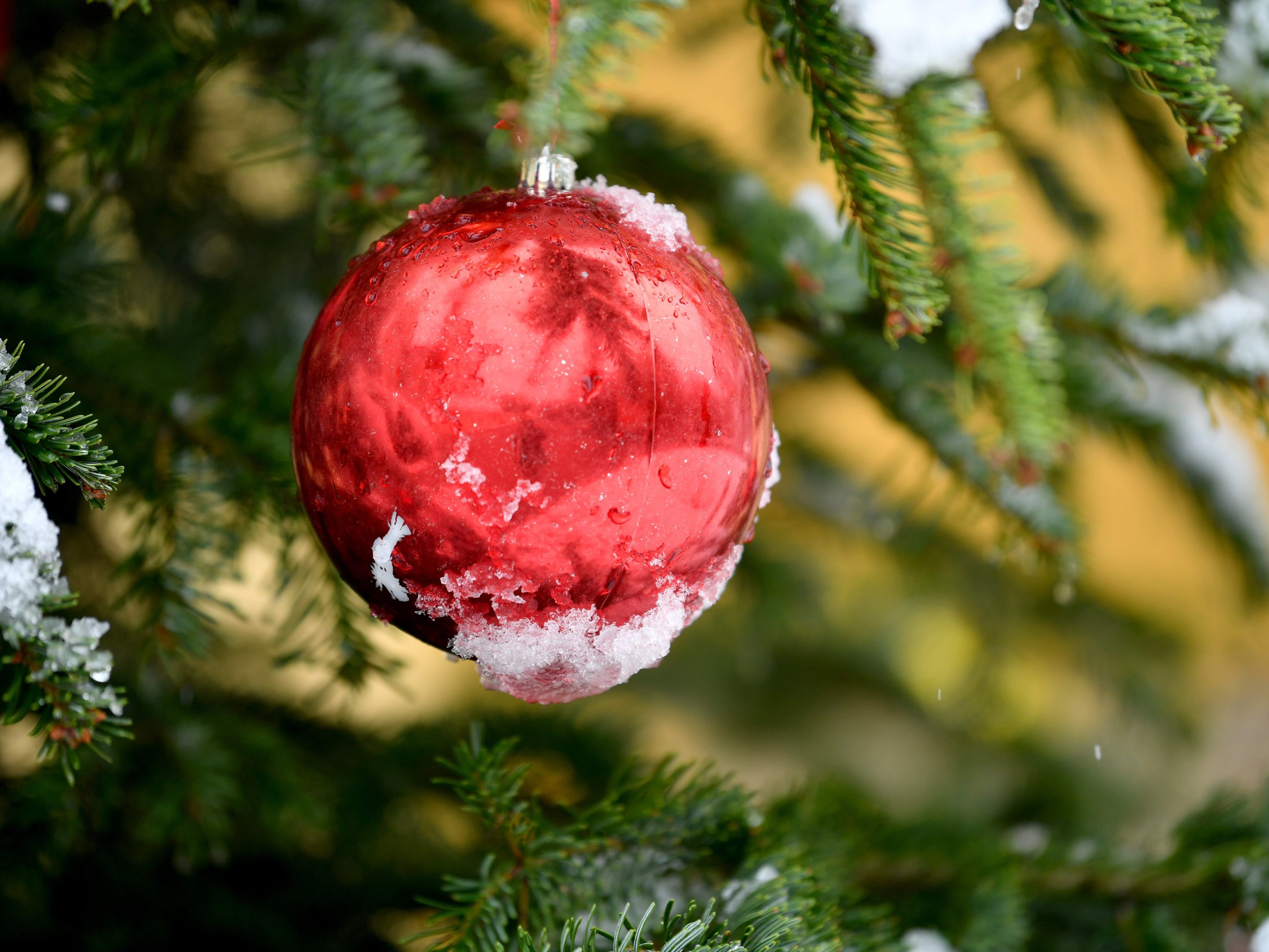 Die kommenden Tage bringen gebietsweise Schnee.