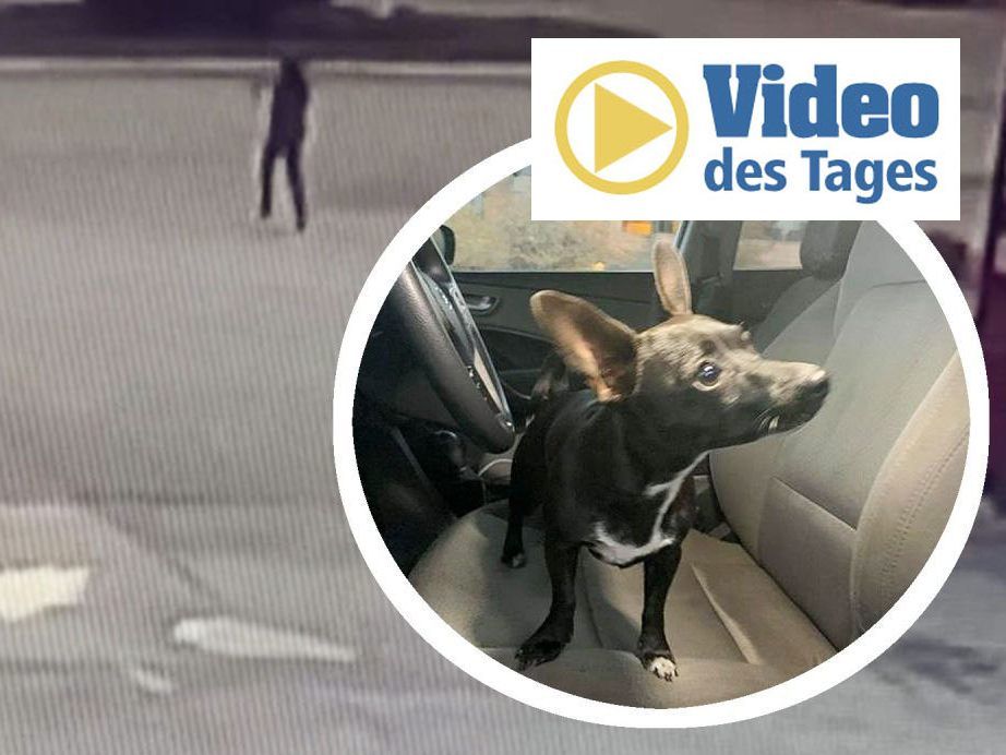 Glücklicherweise kam niemand zu Schaden. Glücklicherweise kam niemand zu Schaden.