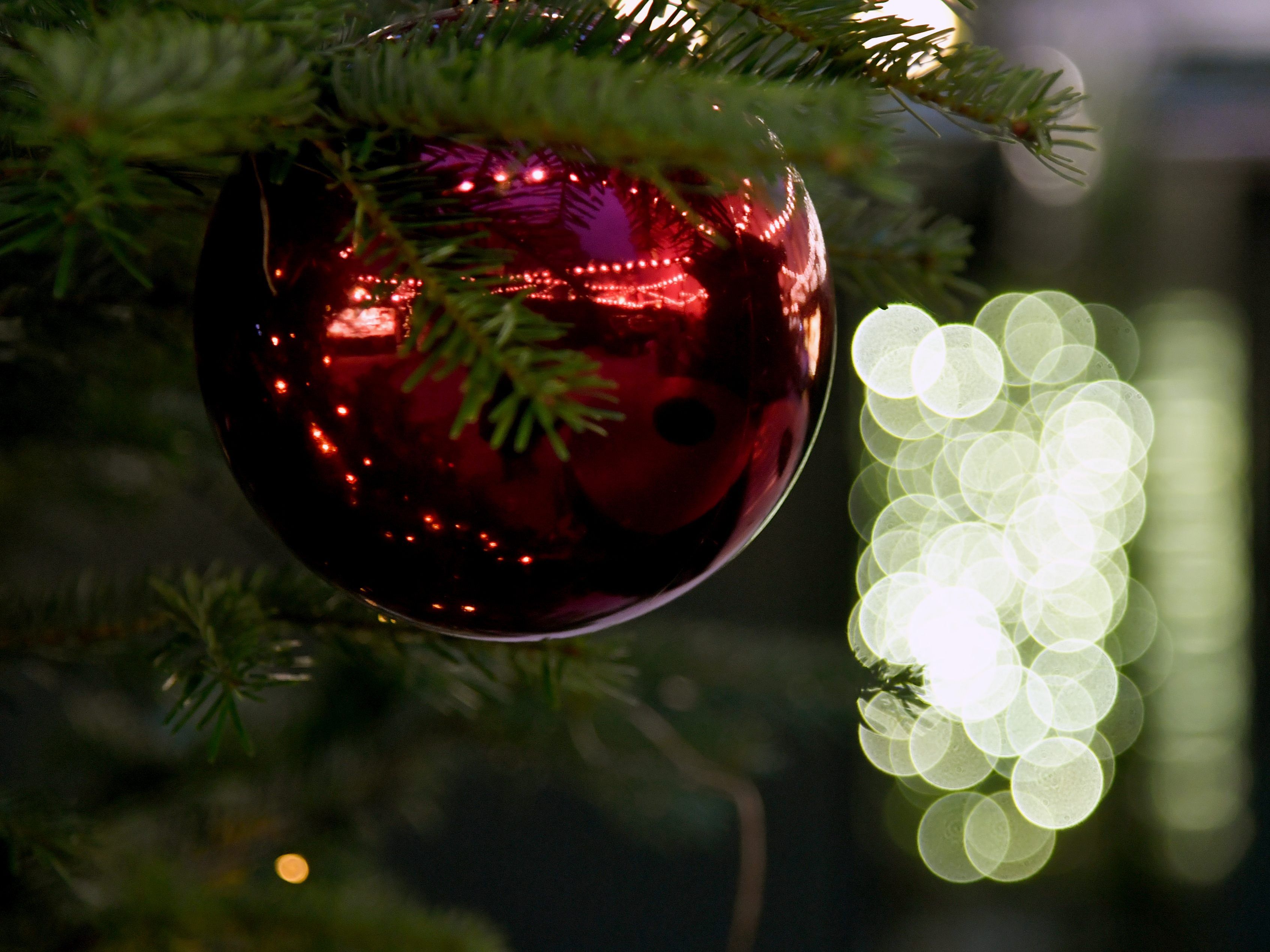 Am 16. November wird der Christkindlmarkt auf der Freyung eröffnet.