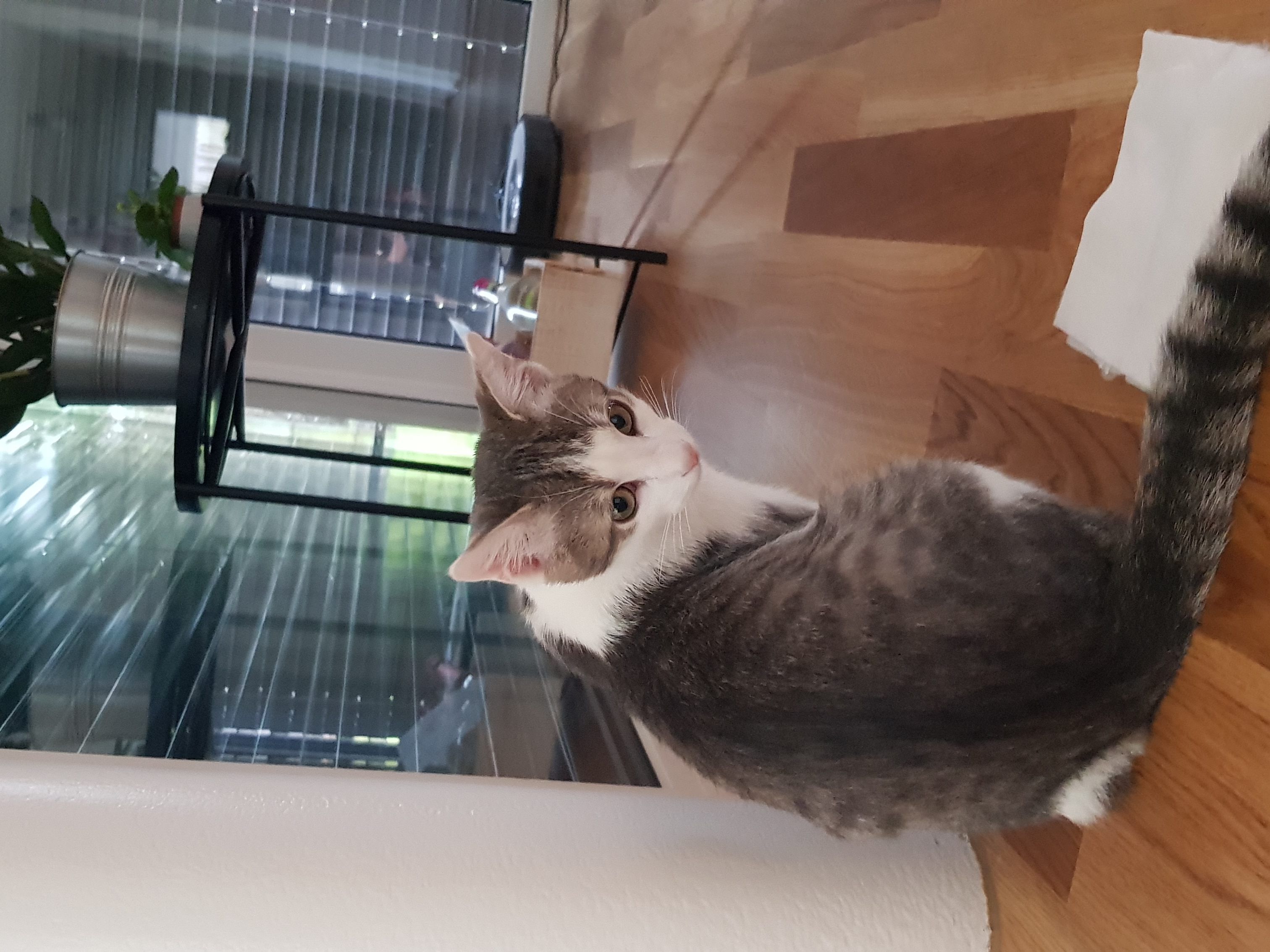 Wer vermisst mich?