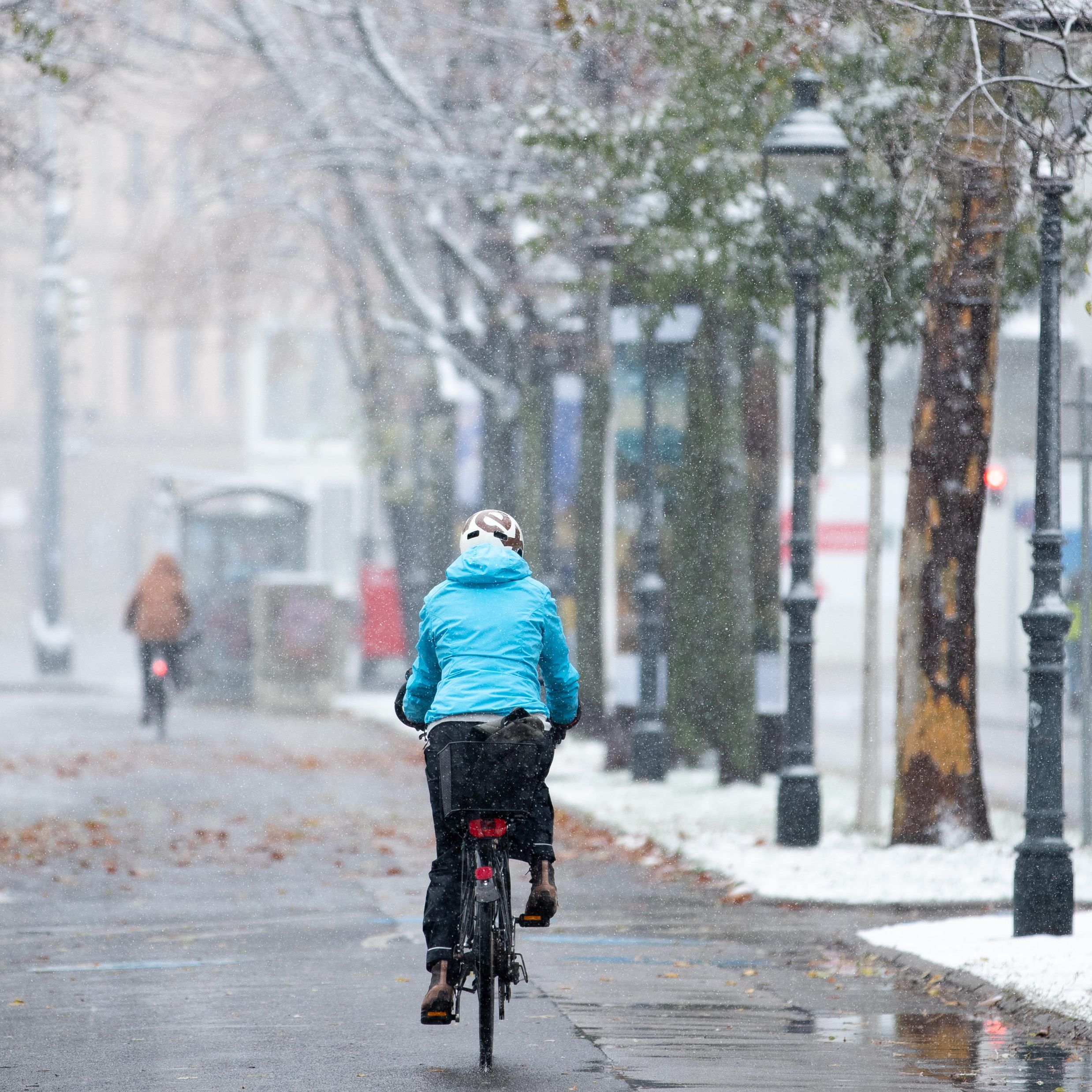 Immer mehr Wiener fahren auch im Winter mit dem Fahrrad.