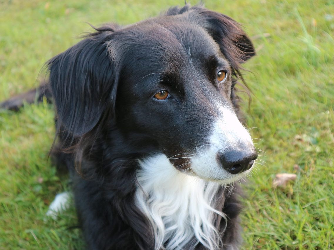 Symbolbild Symbolbild