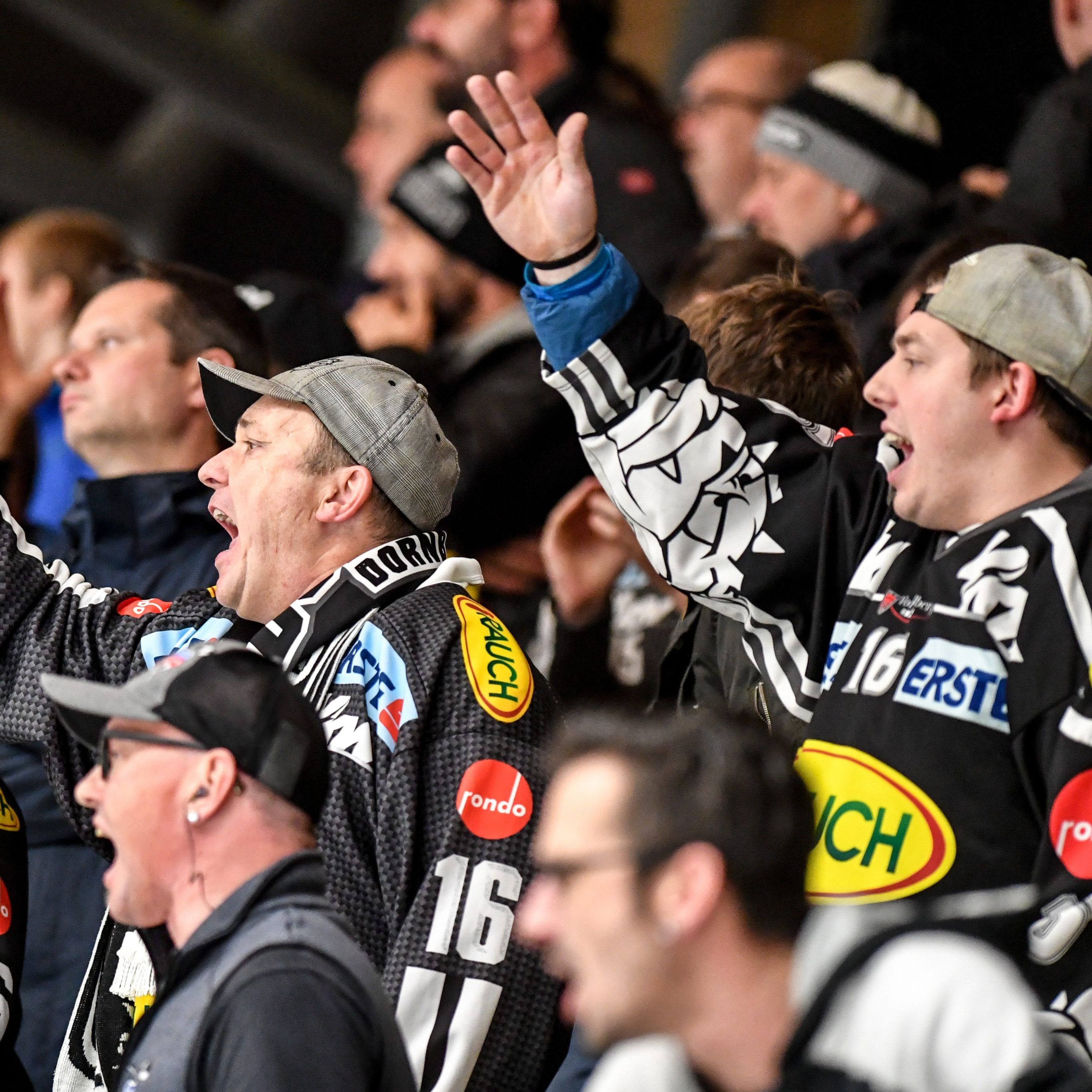 Die Dornbirner Fans sahen heute einmal mehr eine Niederlage ihres Teams.