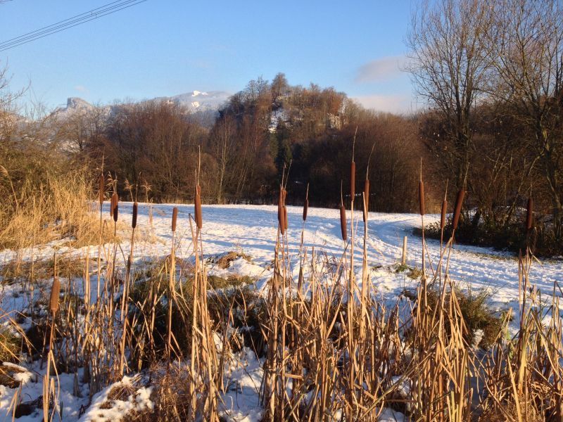 Kommt der Schnee wieder?