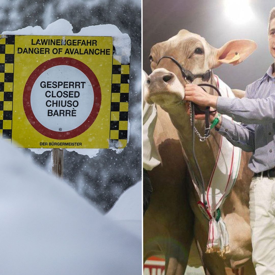 Das bewegte Vorarlberg im Jänner.