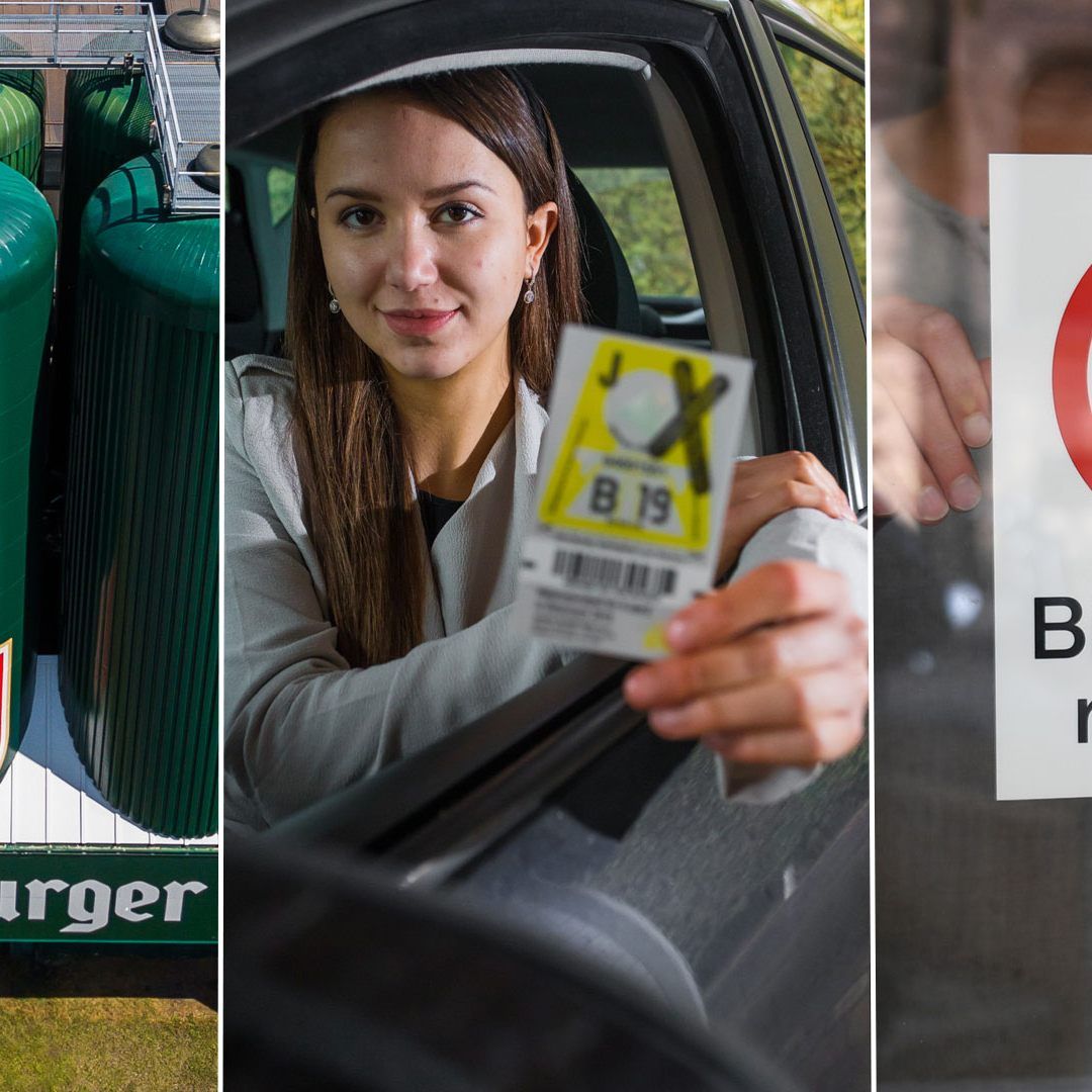 Das interessierte die Vorarlberger im November 2019.